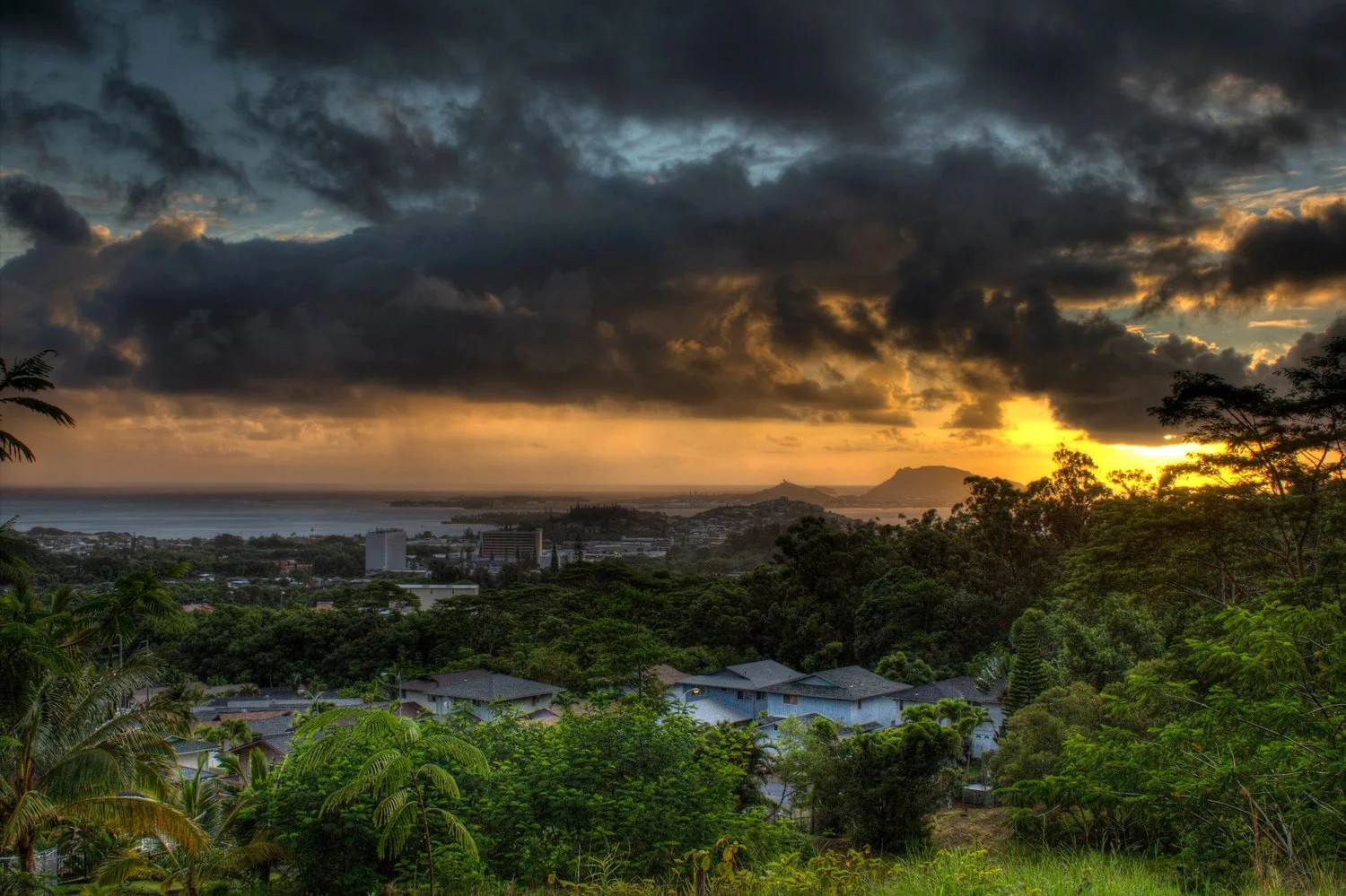 green+sunset.jpg