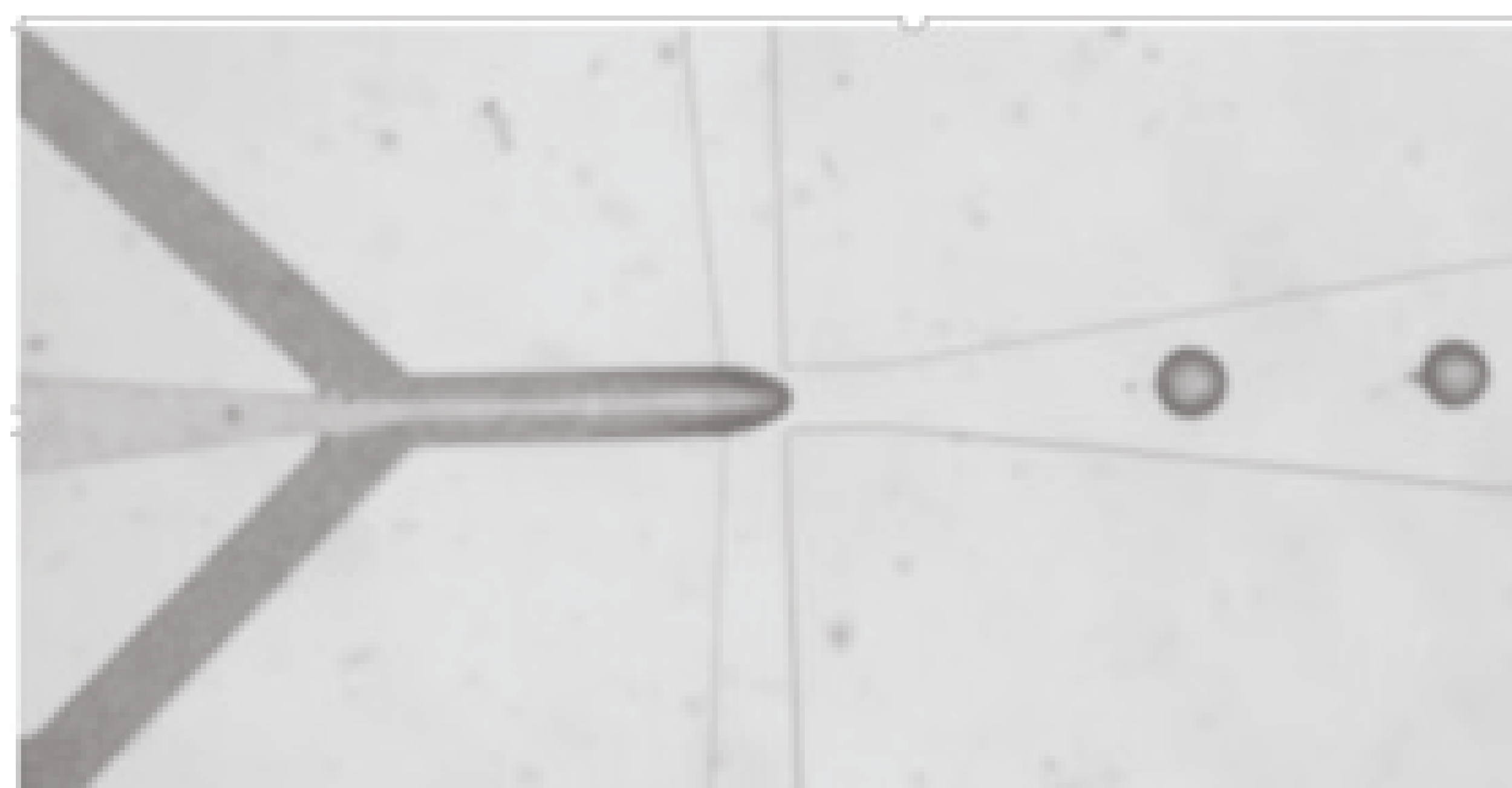 OverviewFig2-03.png