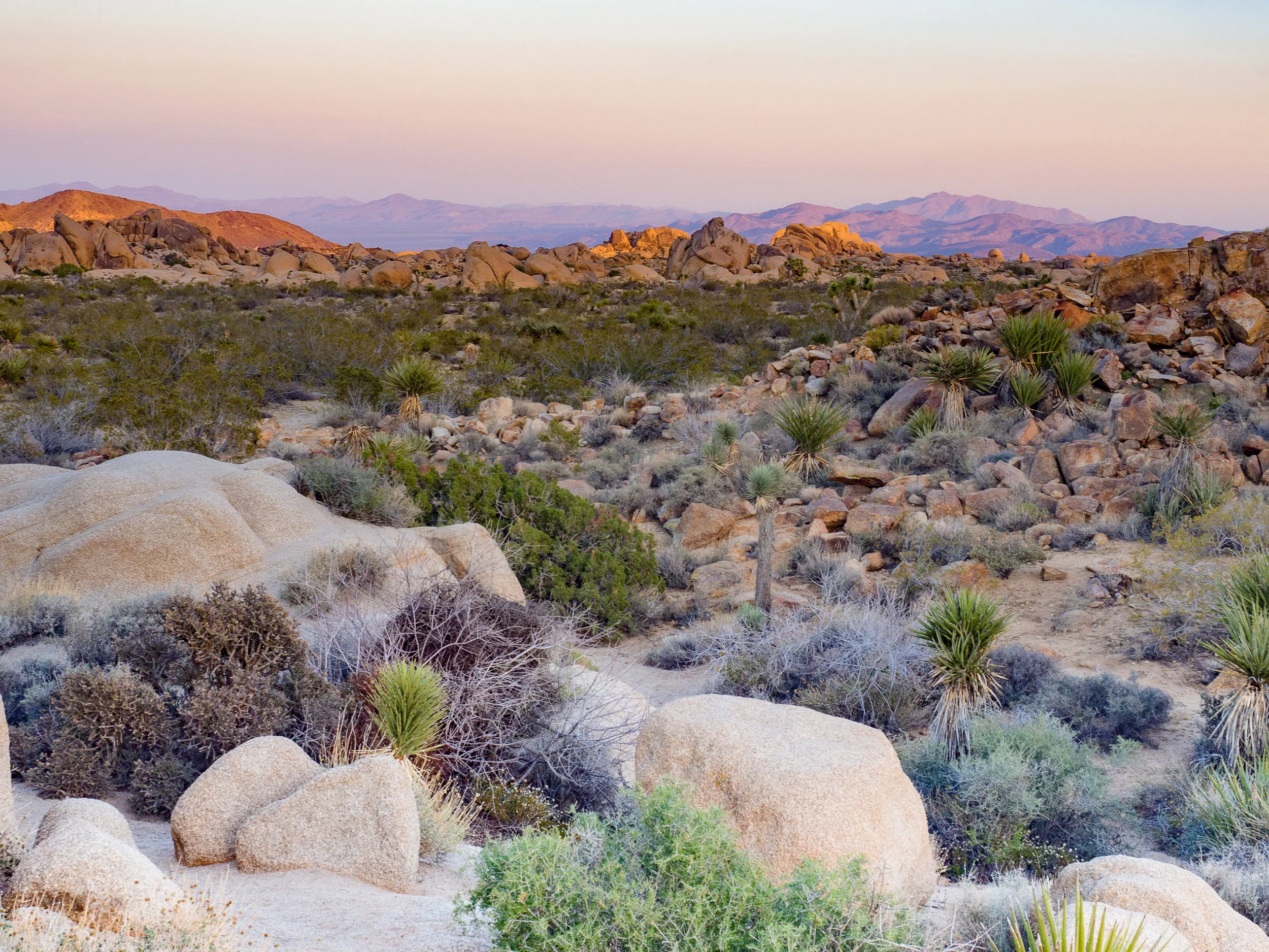Joshua Tree National Park, USA 