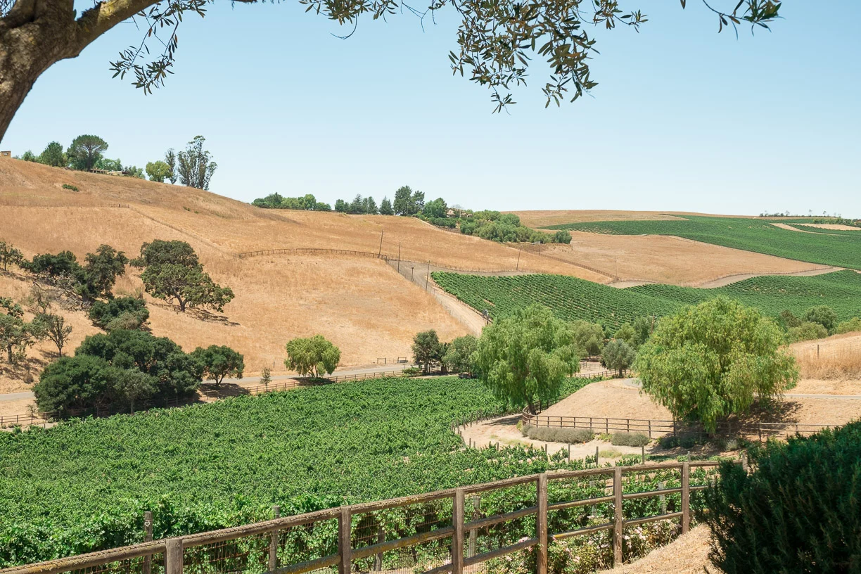 Santa Ynez
