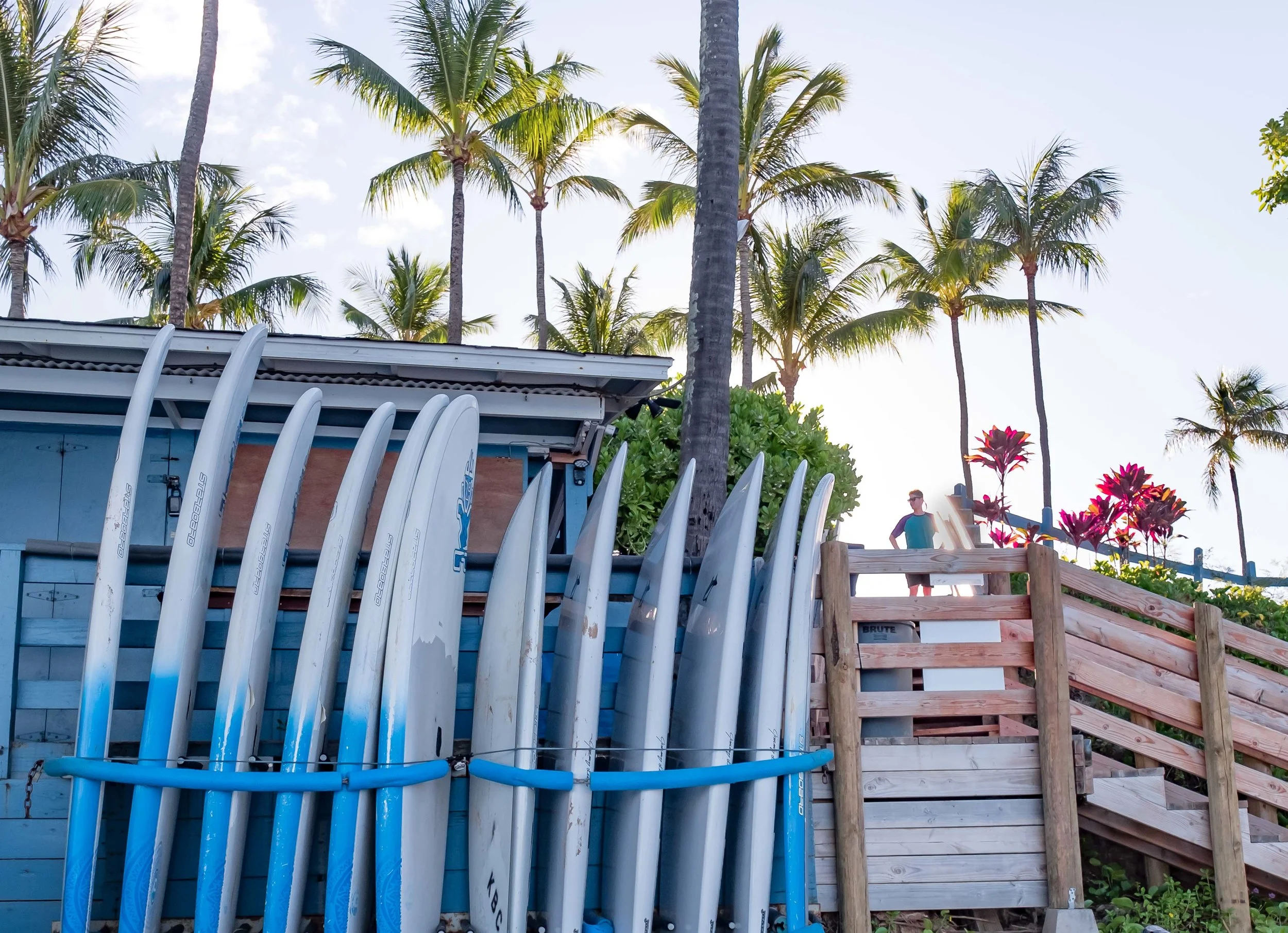 surfsup.jpg