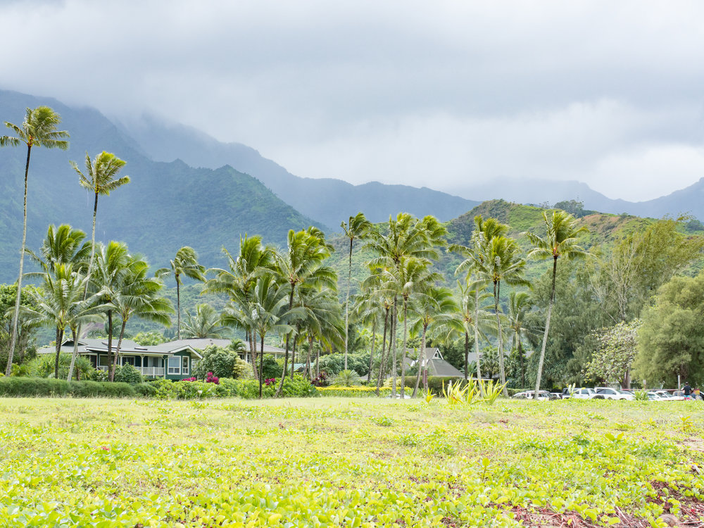 Hanalei.jpg