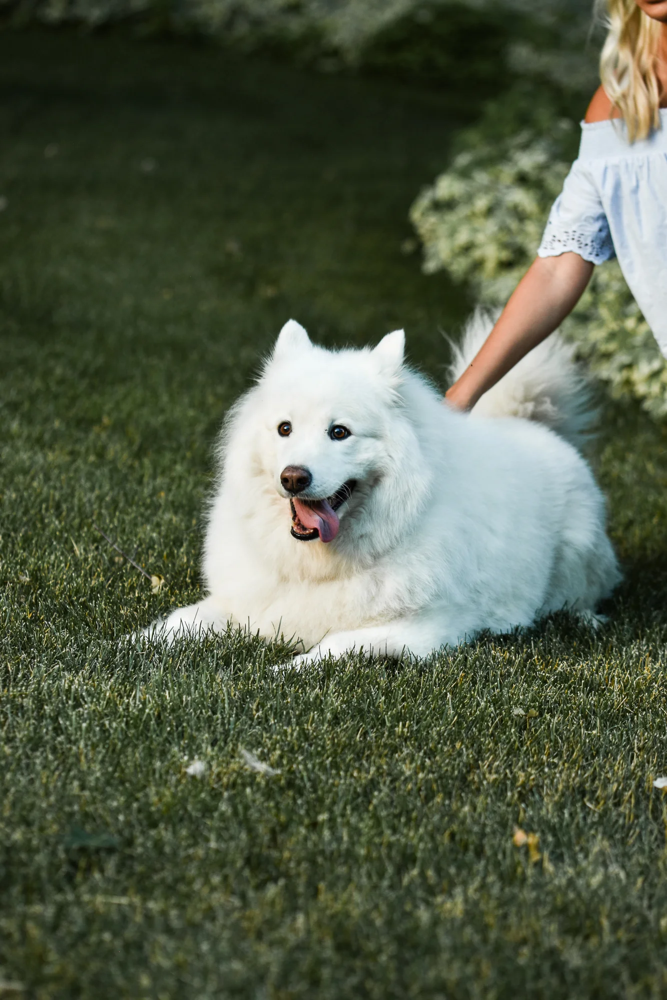 DSC_0371.jpg
