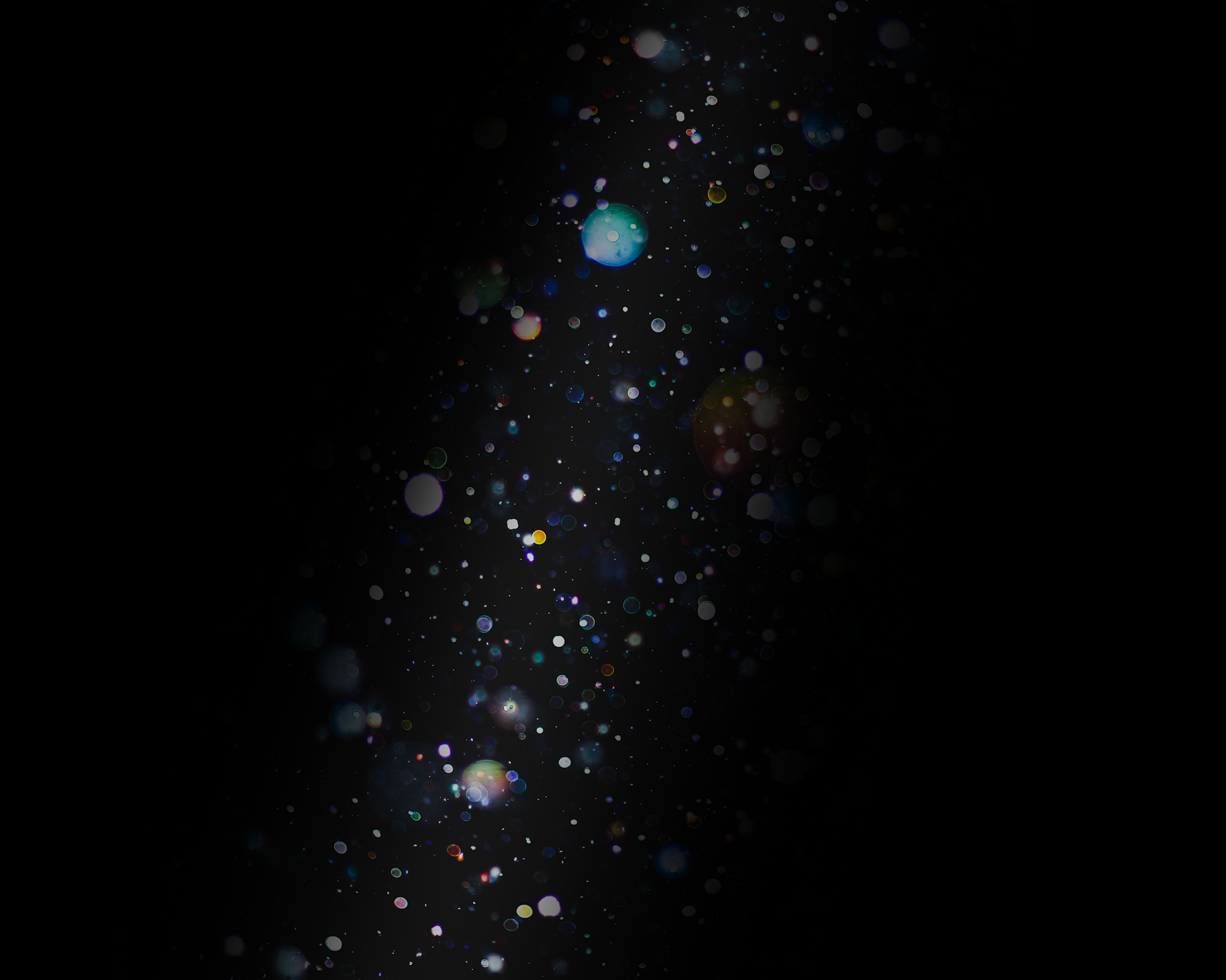 thor-alvis-751400-unsplash.png