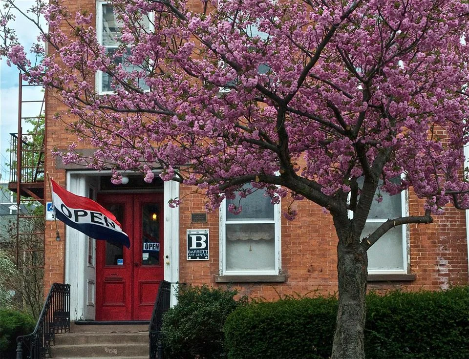 Barrett May 2018 flowering tree.jpg