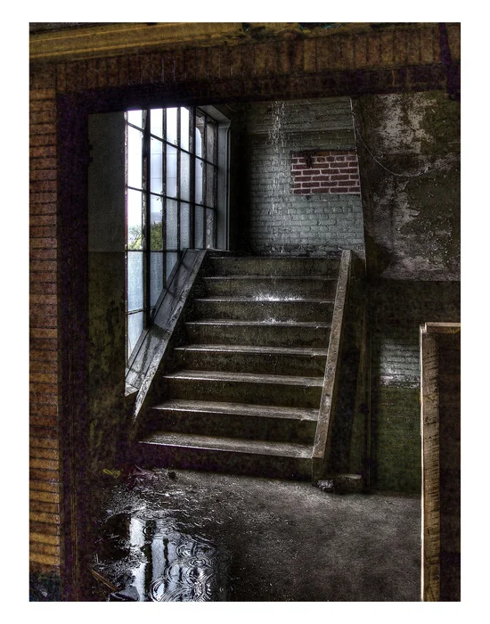 Nancy Faulds - Indoor Waterfall - photography (16" x 20") $250