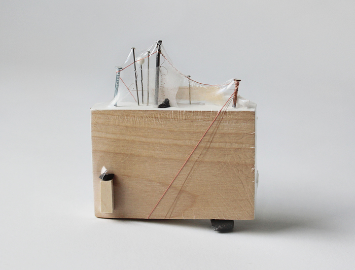 Skye Livingston Insight Unseen wood, paint, silk, thread, hair, paper, gravel, shrink wrap 3.5" x 3" x 1" $248.00