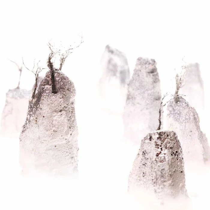 Stephen Dorsett - Ear Plug Sea Stacks - Digital Photo (16" x 16") $600