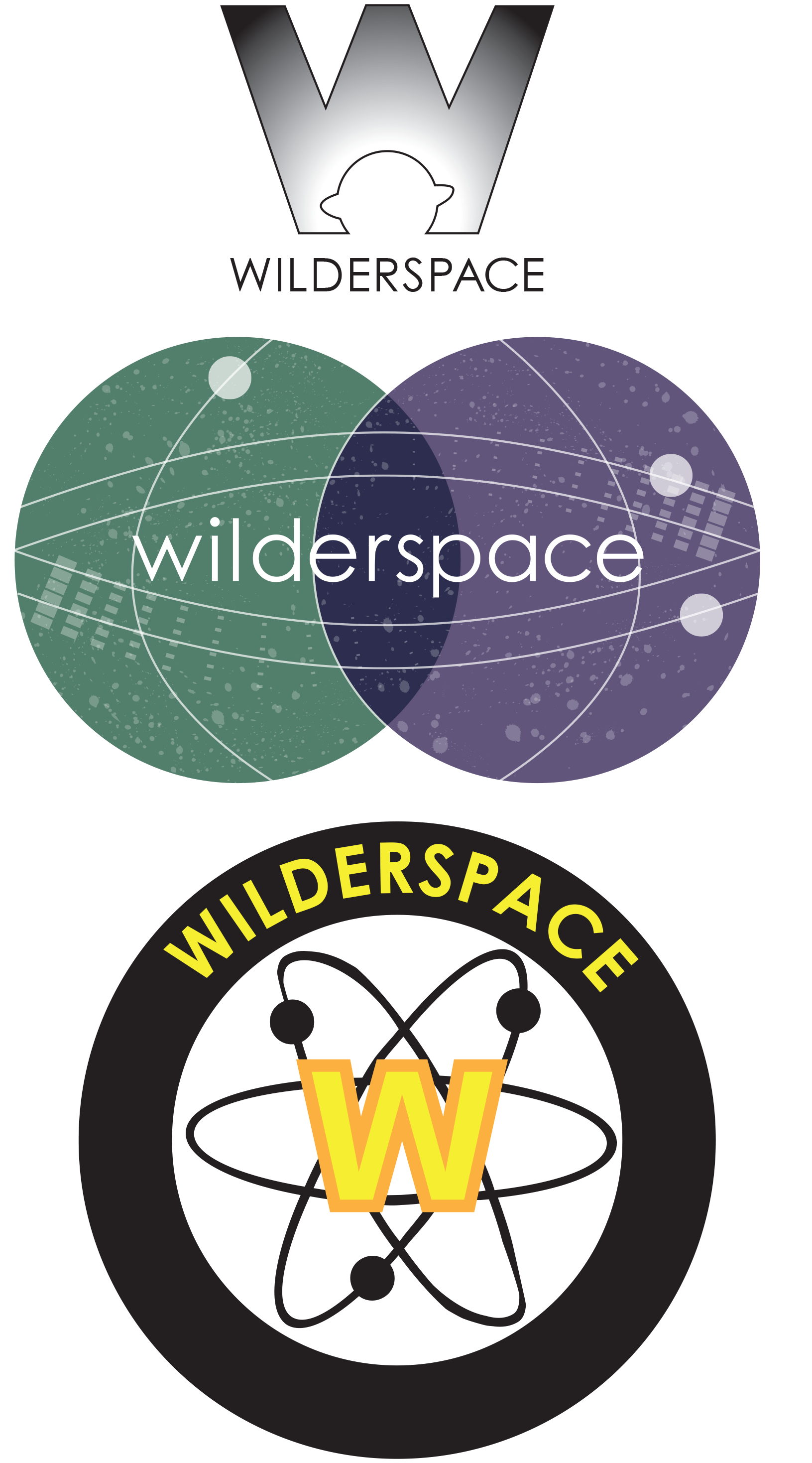 Wilderspace logo concepts