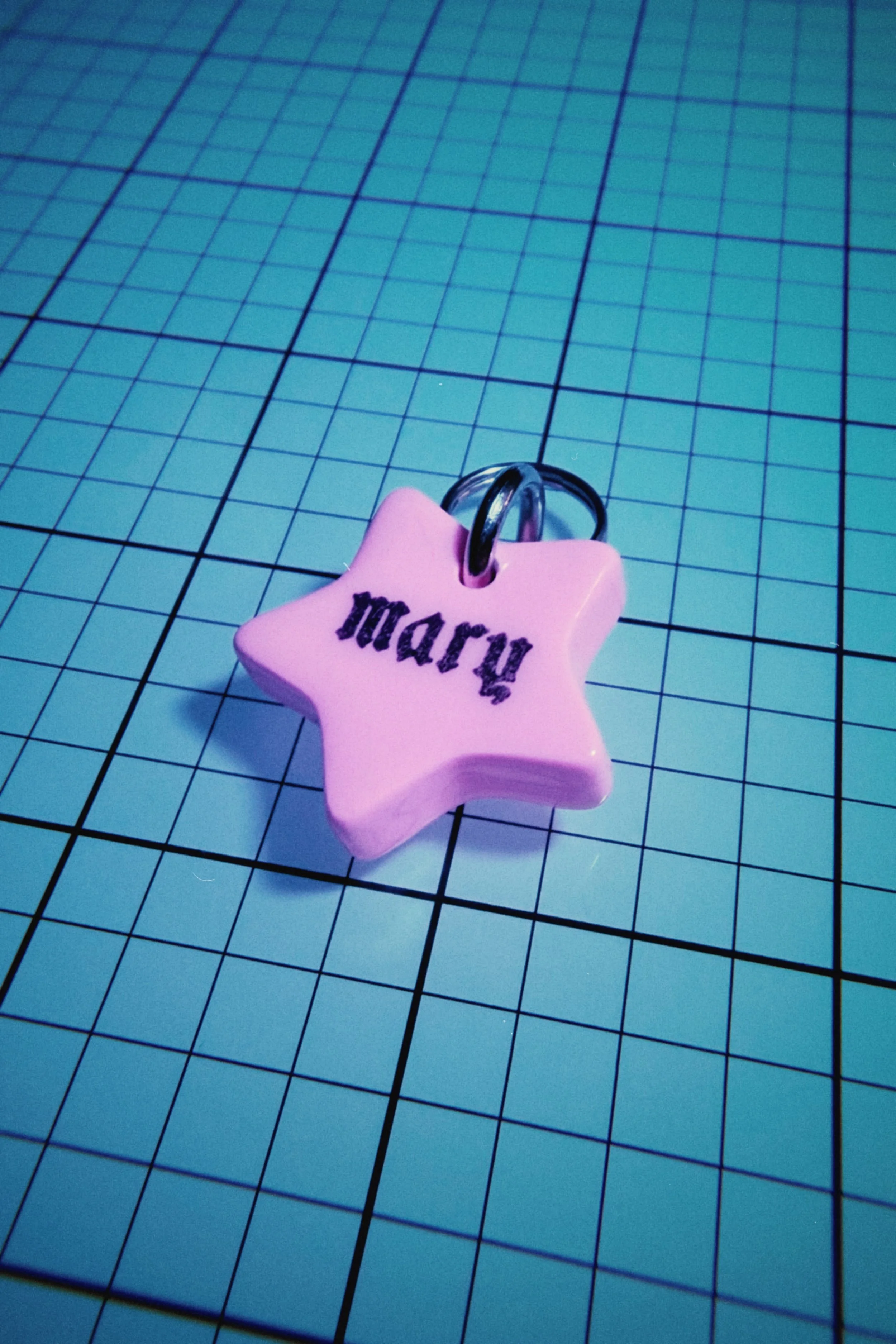 Custom Pet Name Tag
