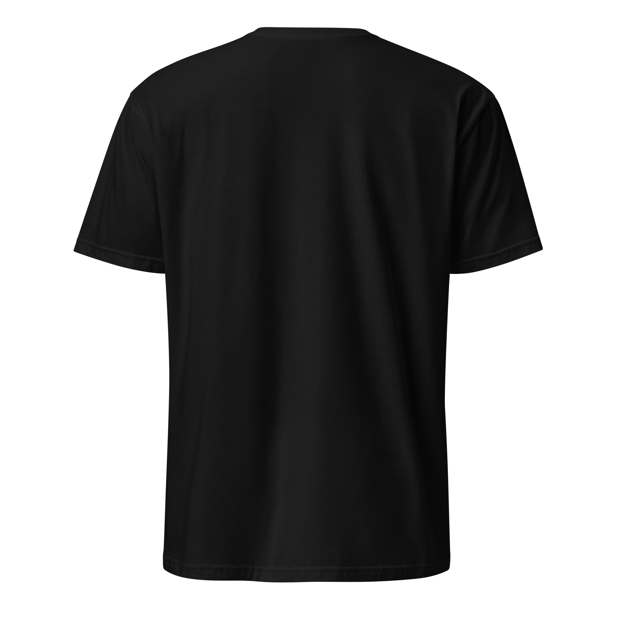 unisex-basic-softstyle-t-shirt-black-back-6787150c0fb0a.png
