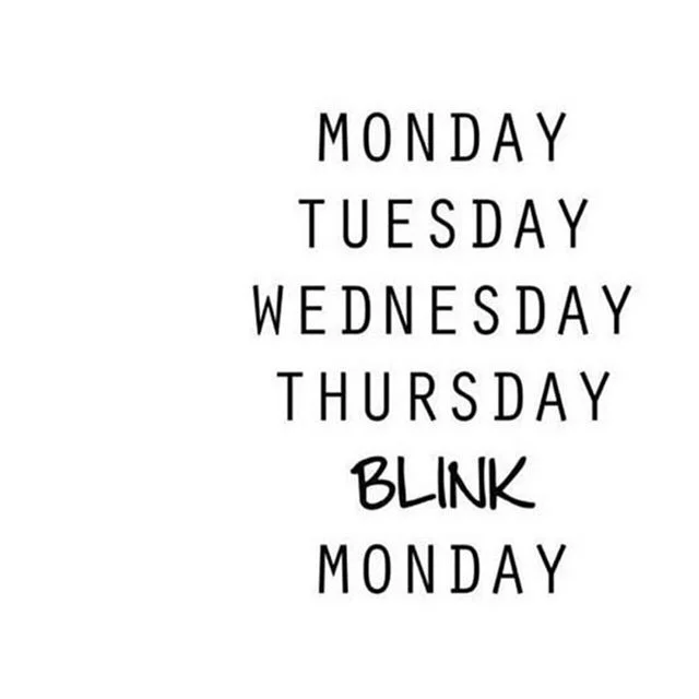 Ain&rsquo;t that the truth. Who else feels this way about the weekend? ⠀
.⠀
.⠀
.⠀
.⠀
.⠀
#weekend #sunday #tooshort #browsonfleek #phibrowsartist #love #instagood #torontomakeupartist #microbladingartist #microbladingmilton #microbladingmississauga #m
