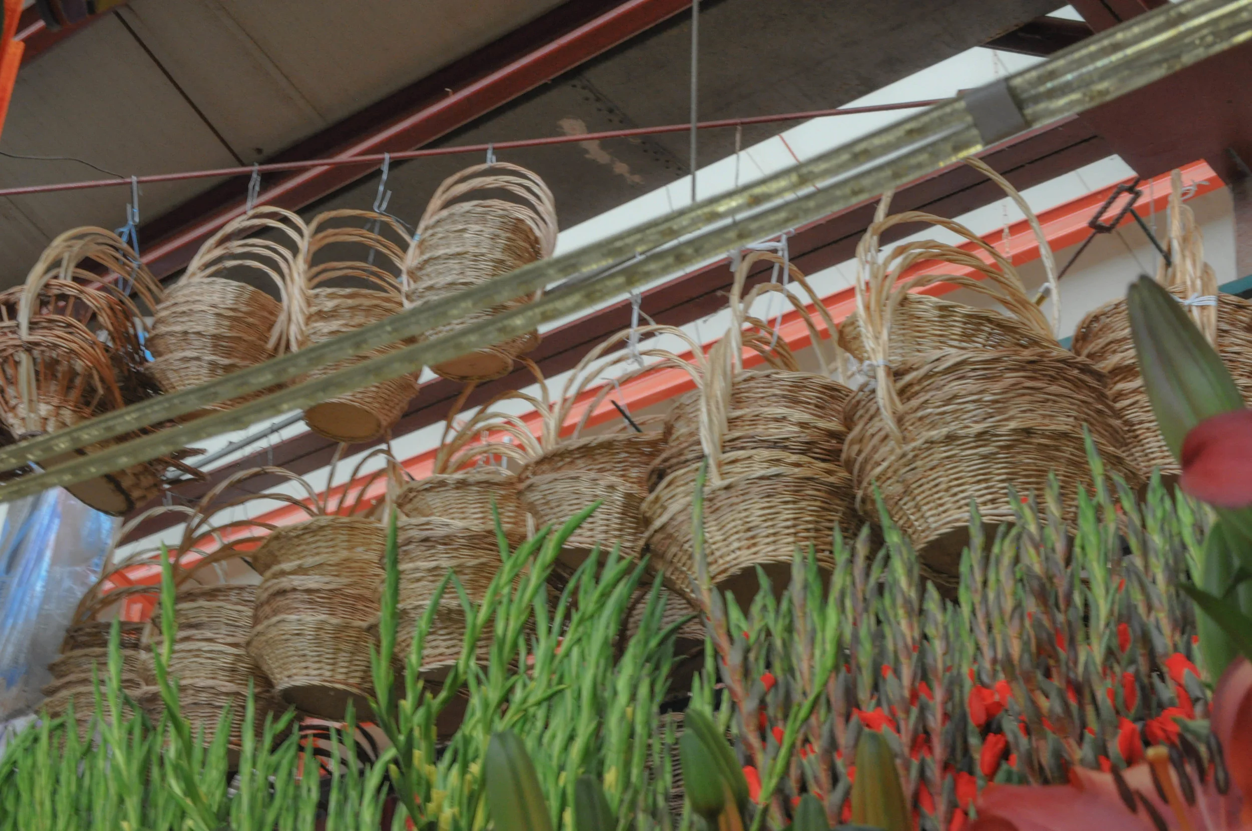 Mercado/Market