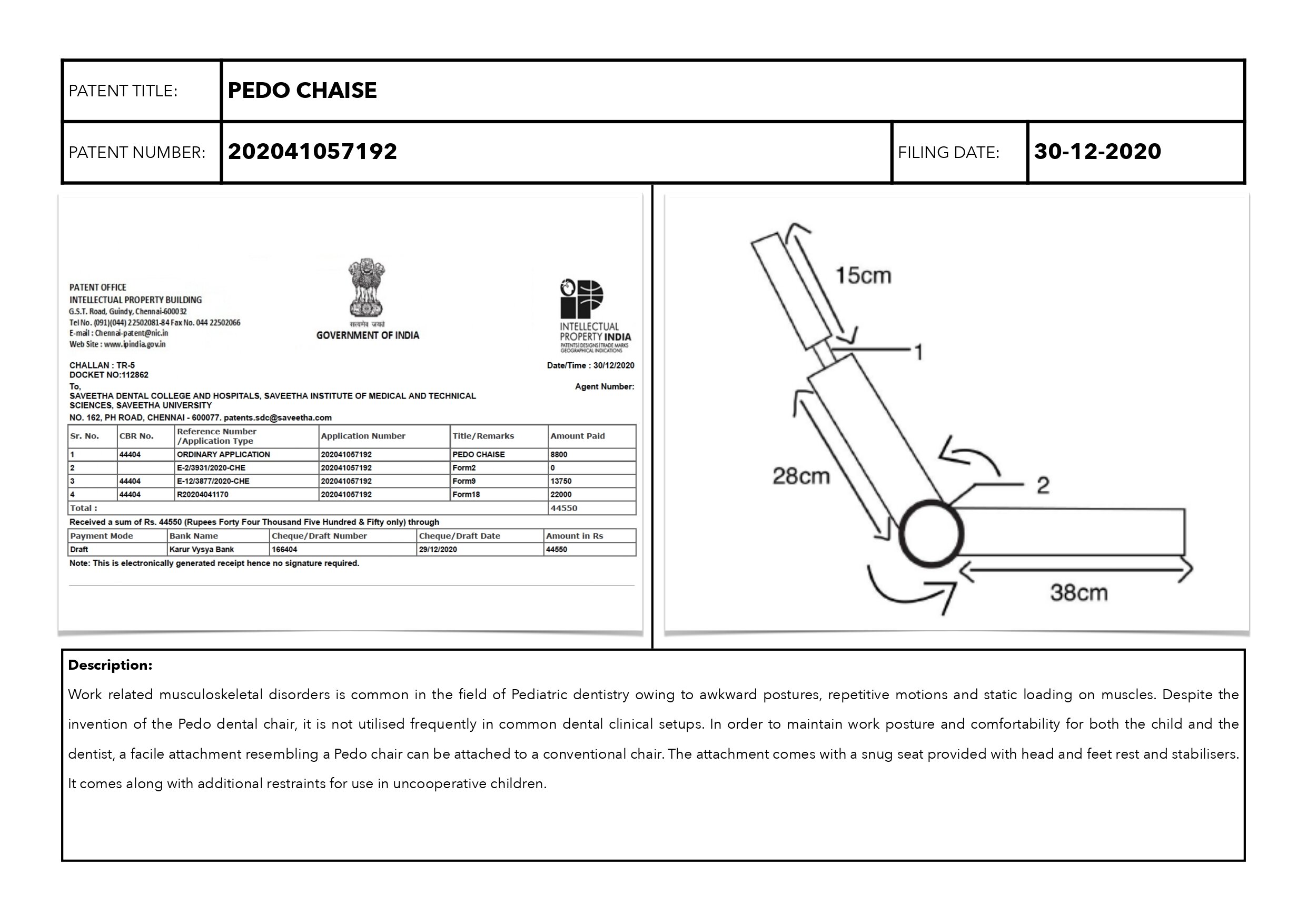 SDC PATENT REPORT 2020_page-0005.jpg