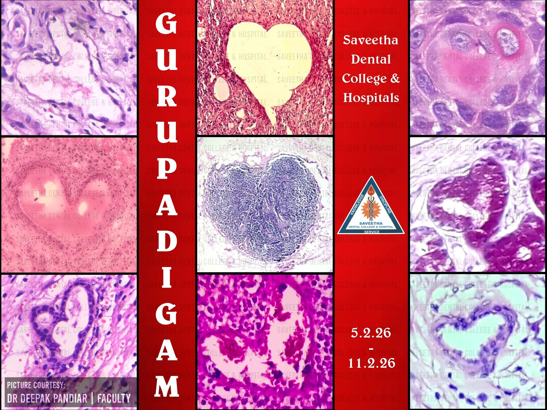 SDC GP REPORT 05th feb'26 - 11th FEB'26_page-0001.jpg