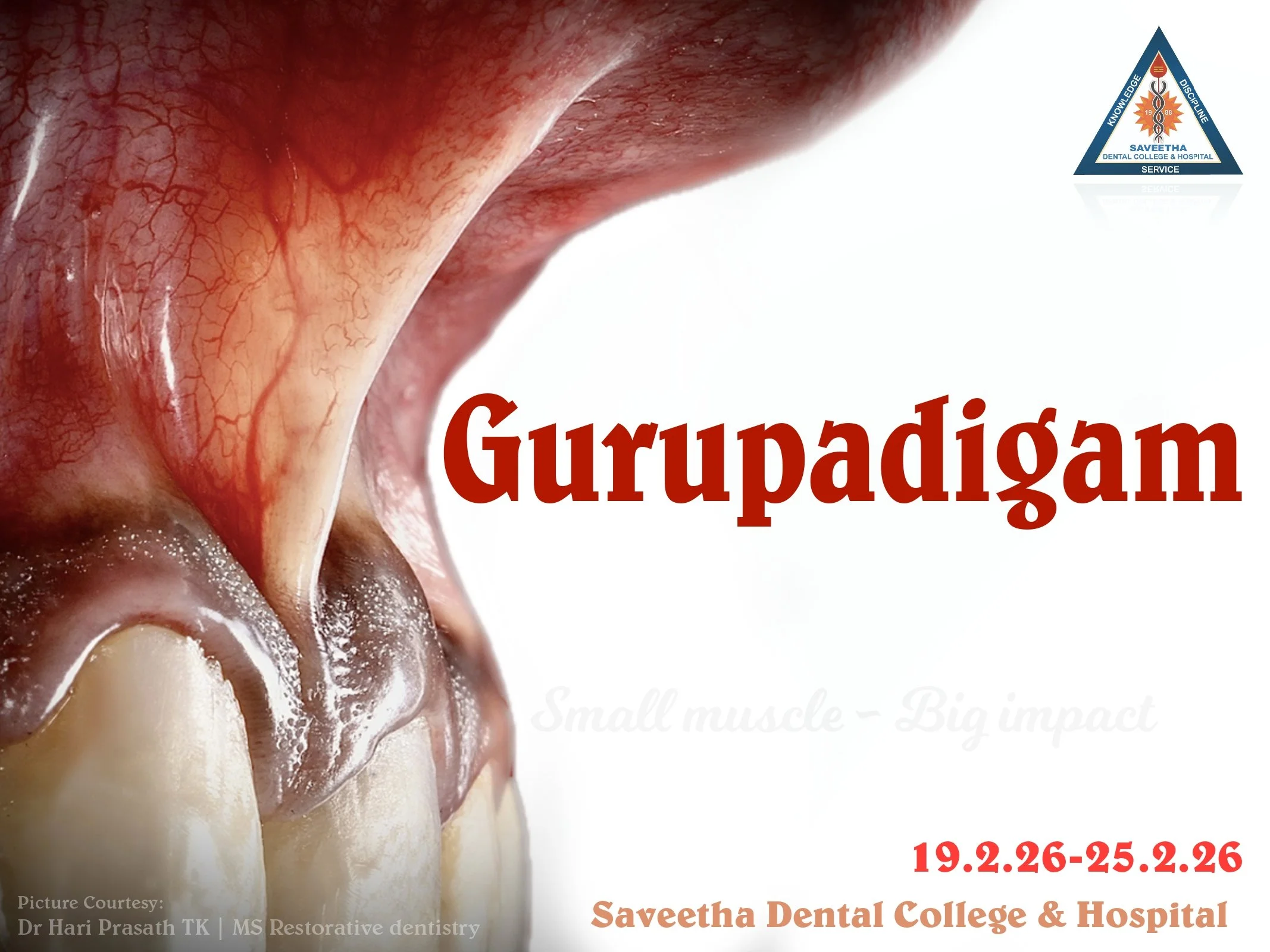 SDC GP REPORT 19th feb'26 - 25th FEB'26_page-0001.jpg