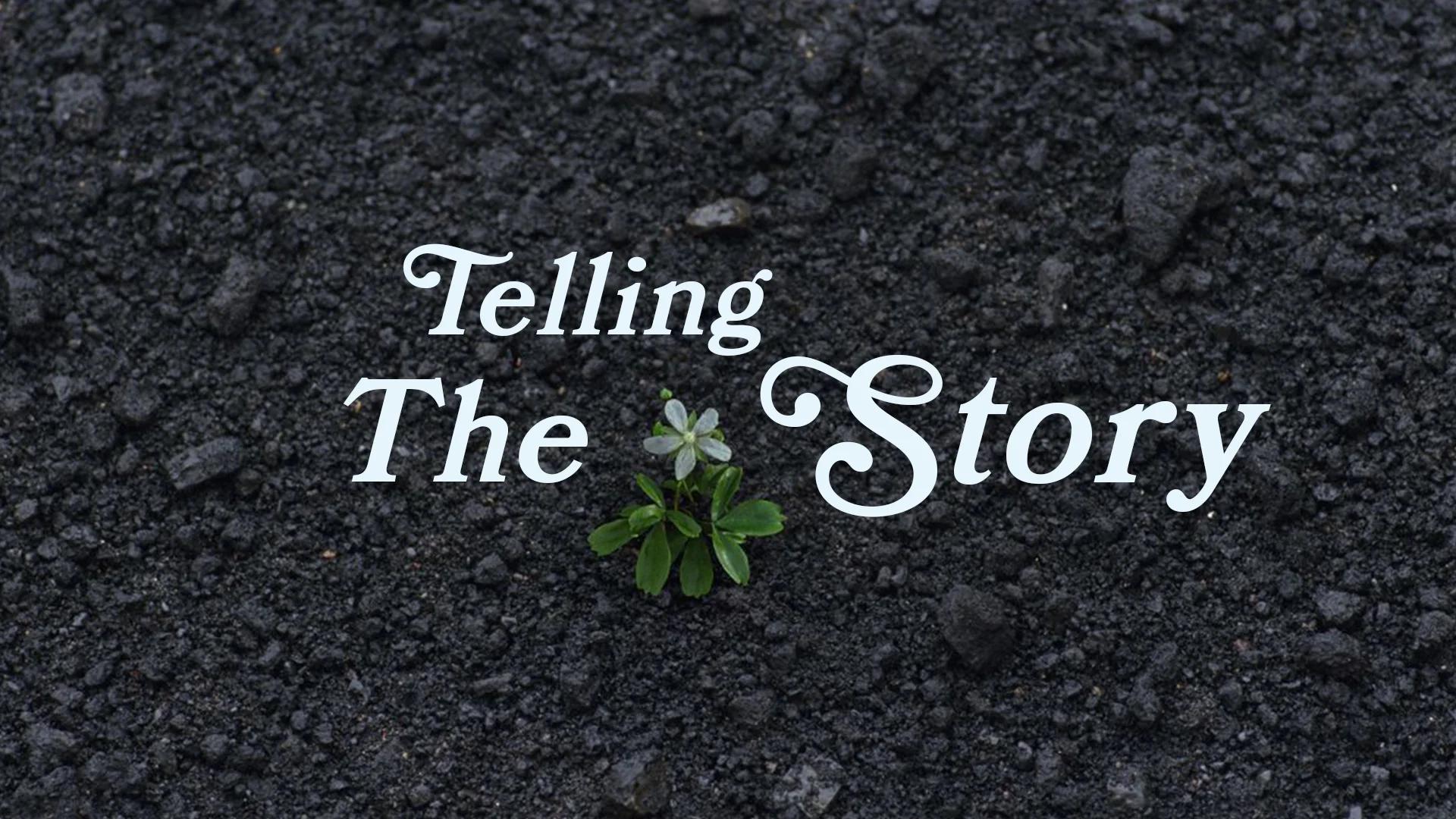 telling the story title image.jpg