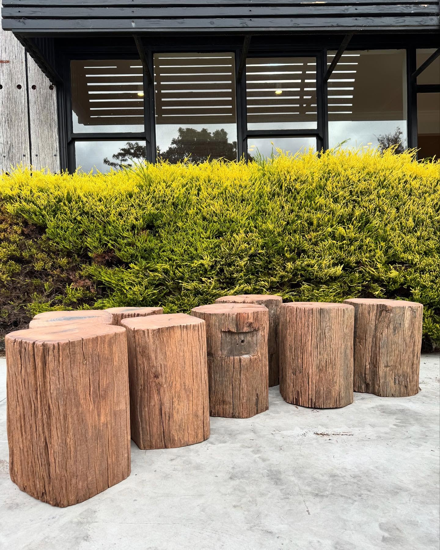 Stump stool production line. North Wharf blocks and Regal stumps. 🌳⚒️♻️
