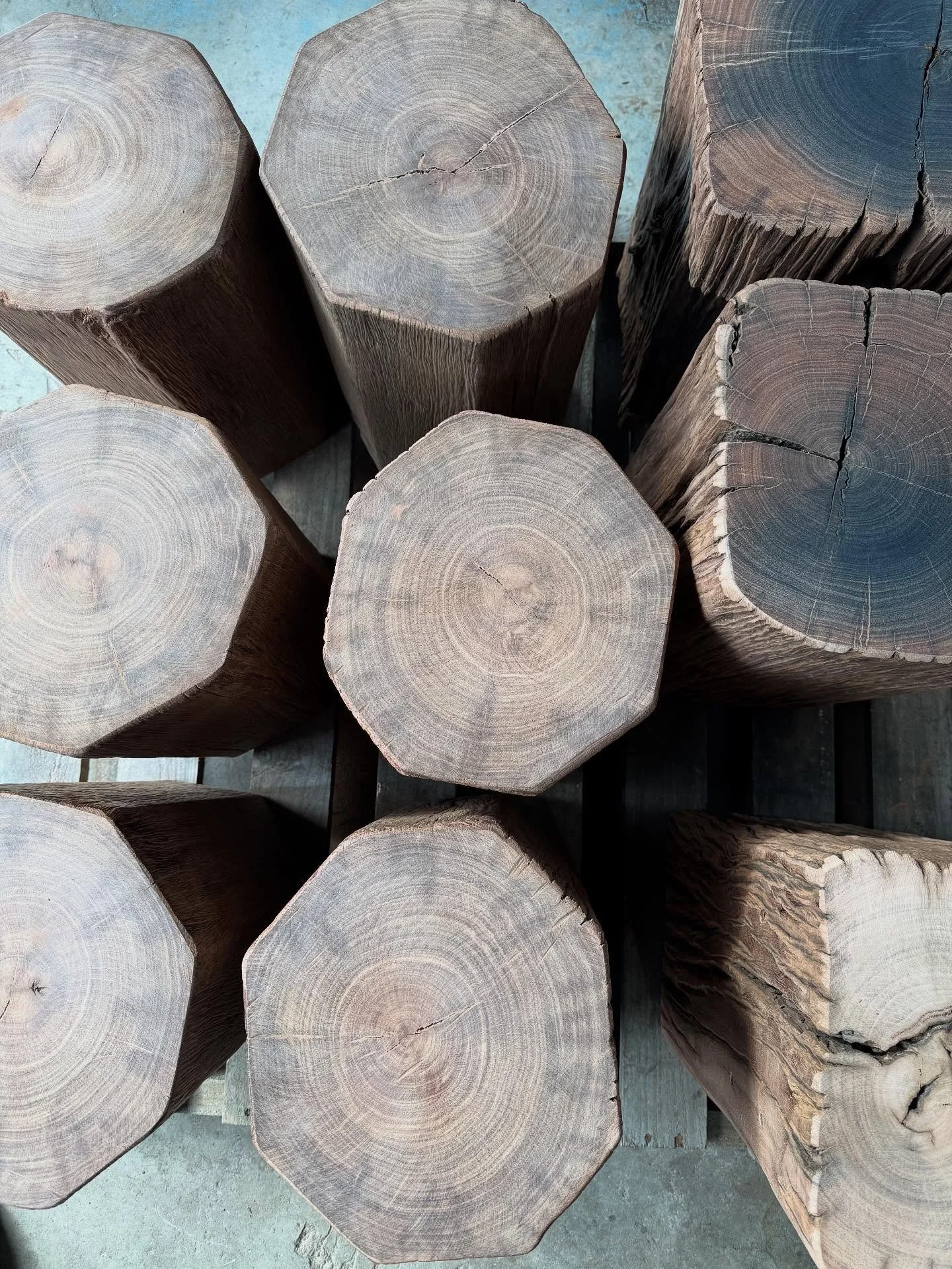 Stump stool production line. 🌳⚒️♻️