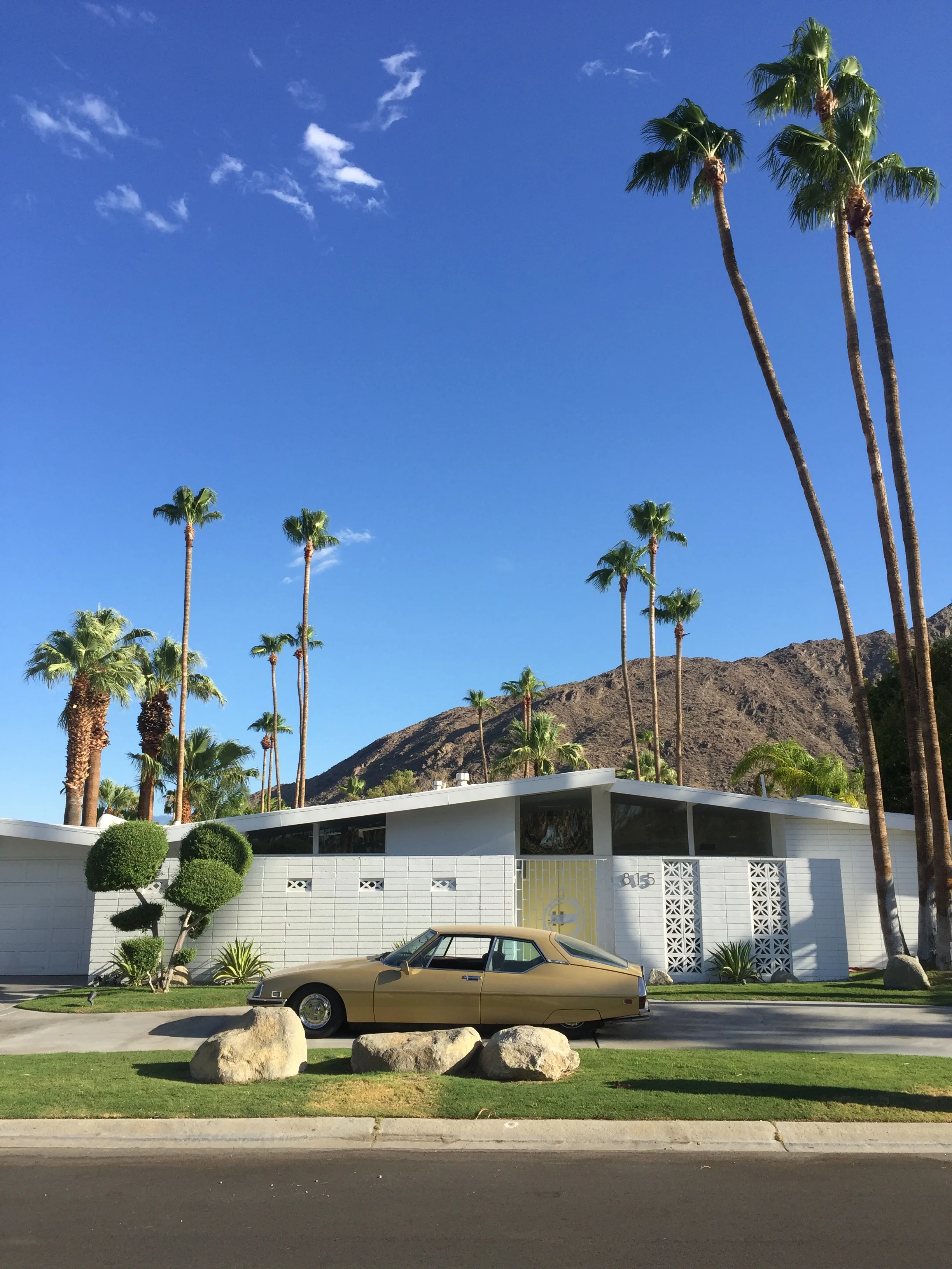 'Yellow' Palm Springs, California, 2016.