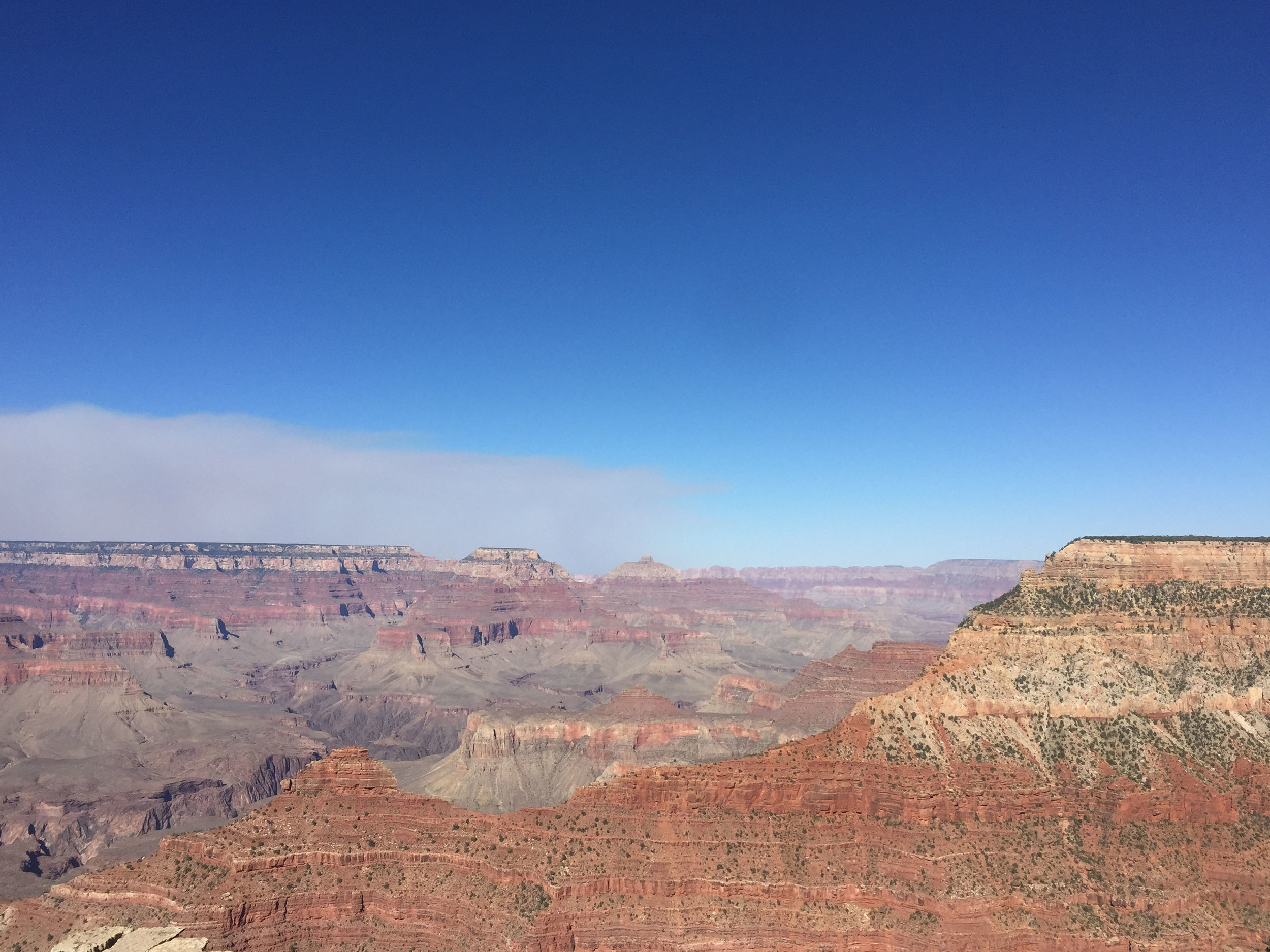 'Desert Colours' Grand Canyon, Arizona, 2016.