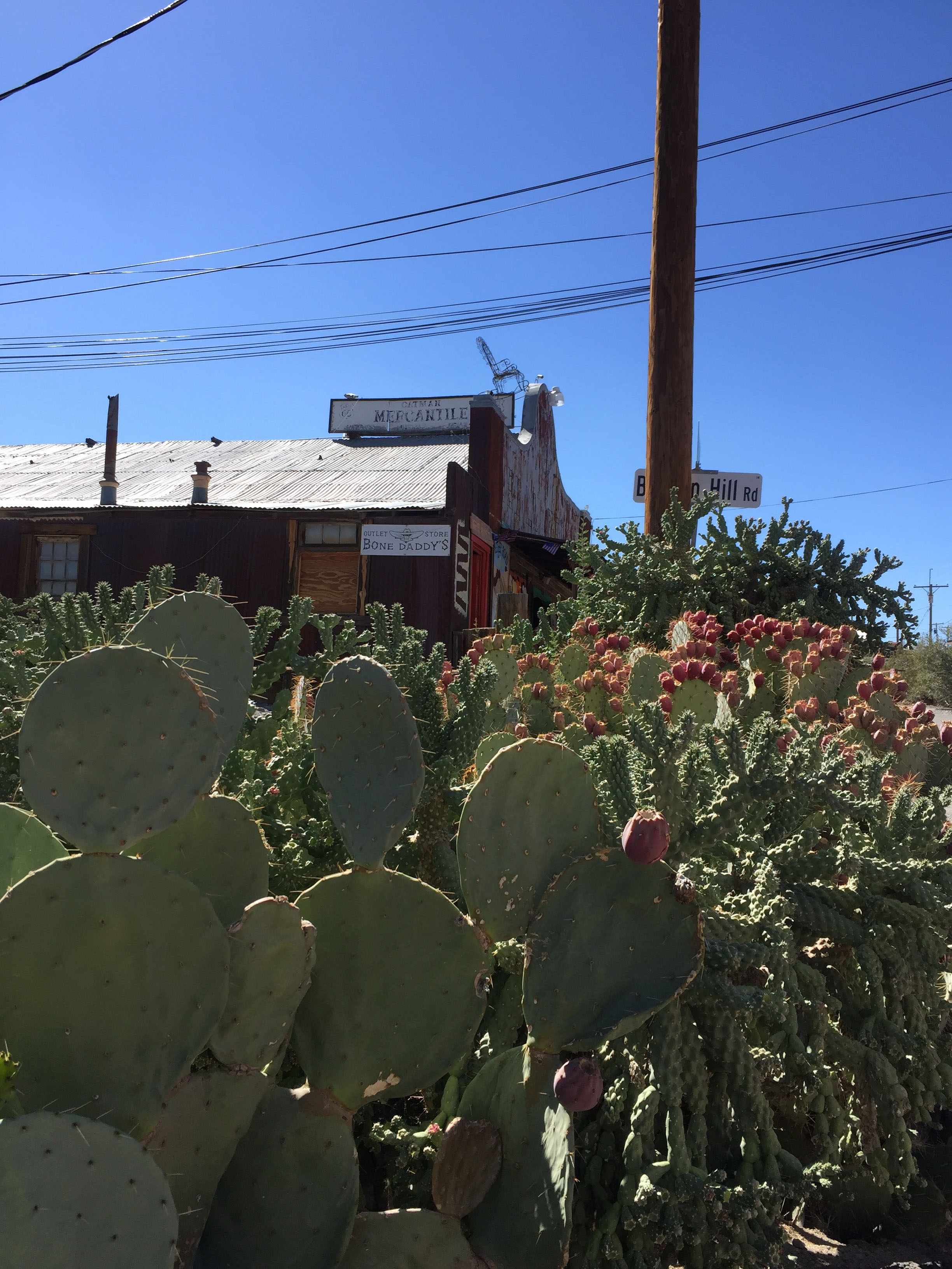 Oatman - Historic Route 66, Arizona, 2016.