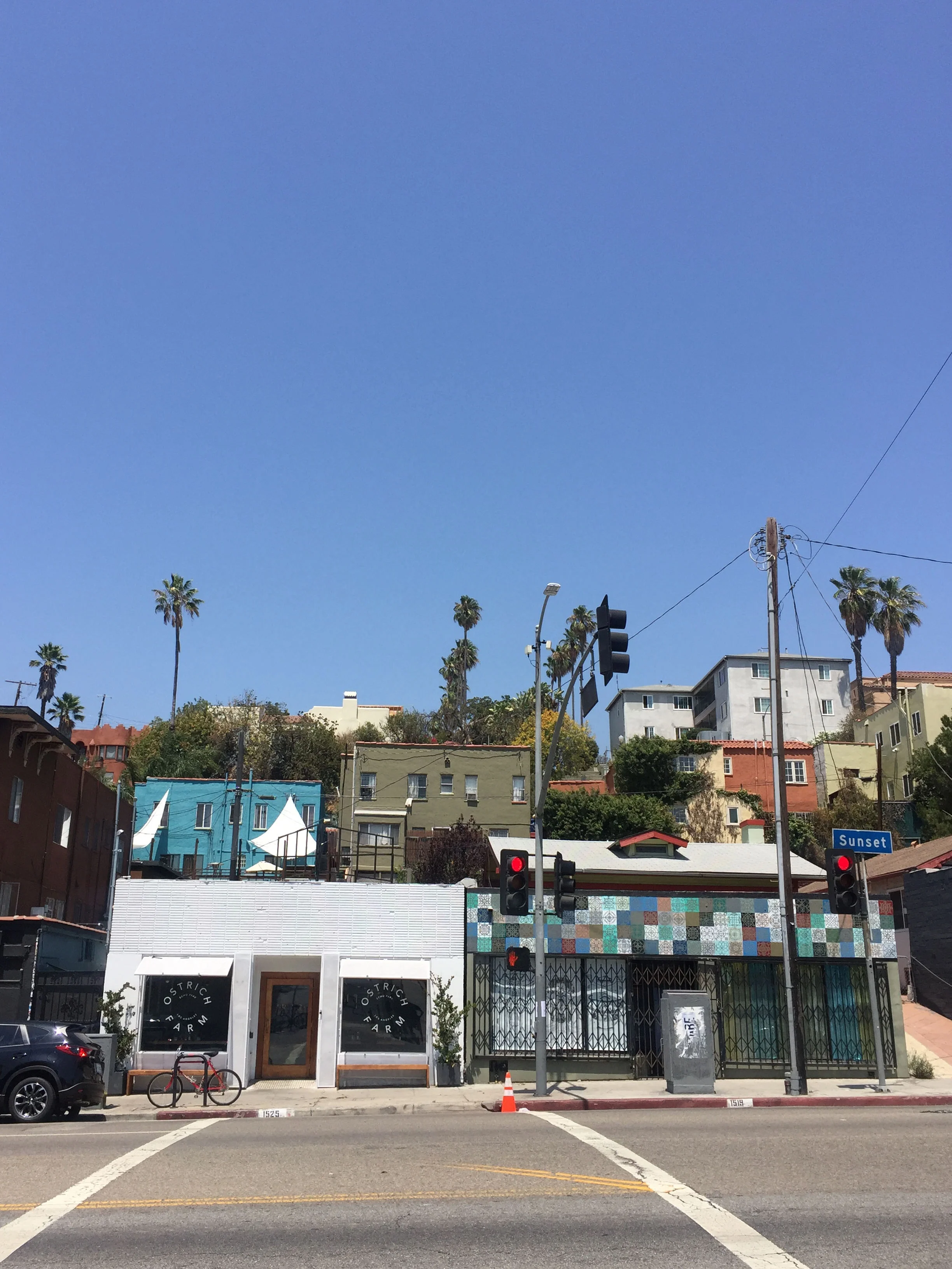 Echo Park, LA, California, 2016.