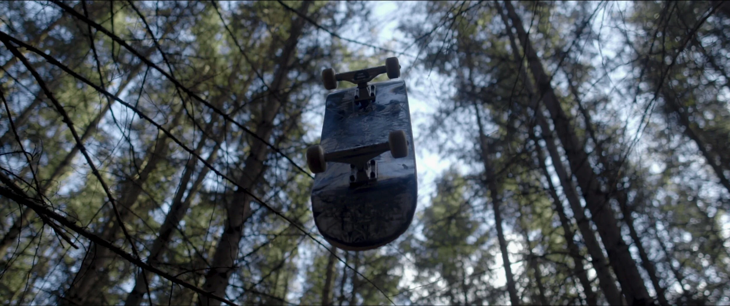 Screen Shot 2021-02-11 at 1.11.41 AM.png