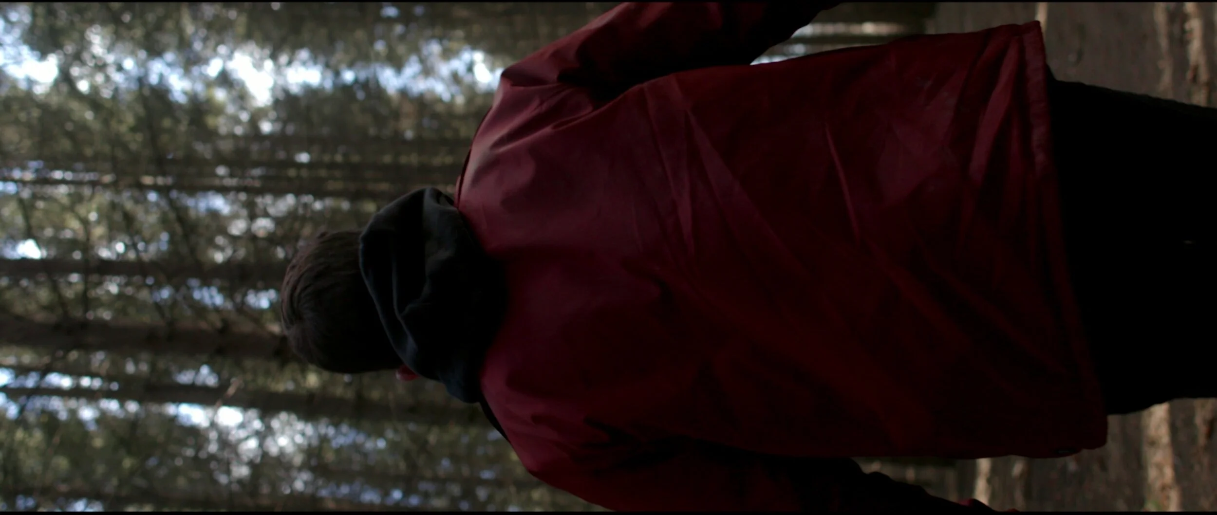 Screen Shot 2021-02-11 at 1.12.48 AM.png