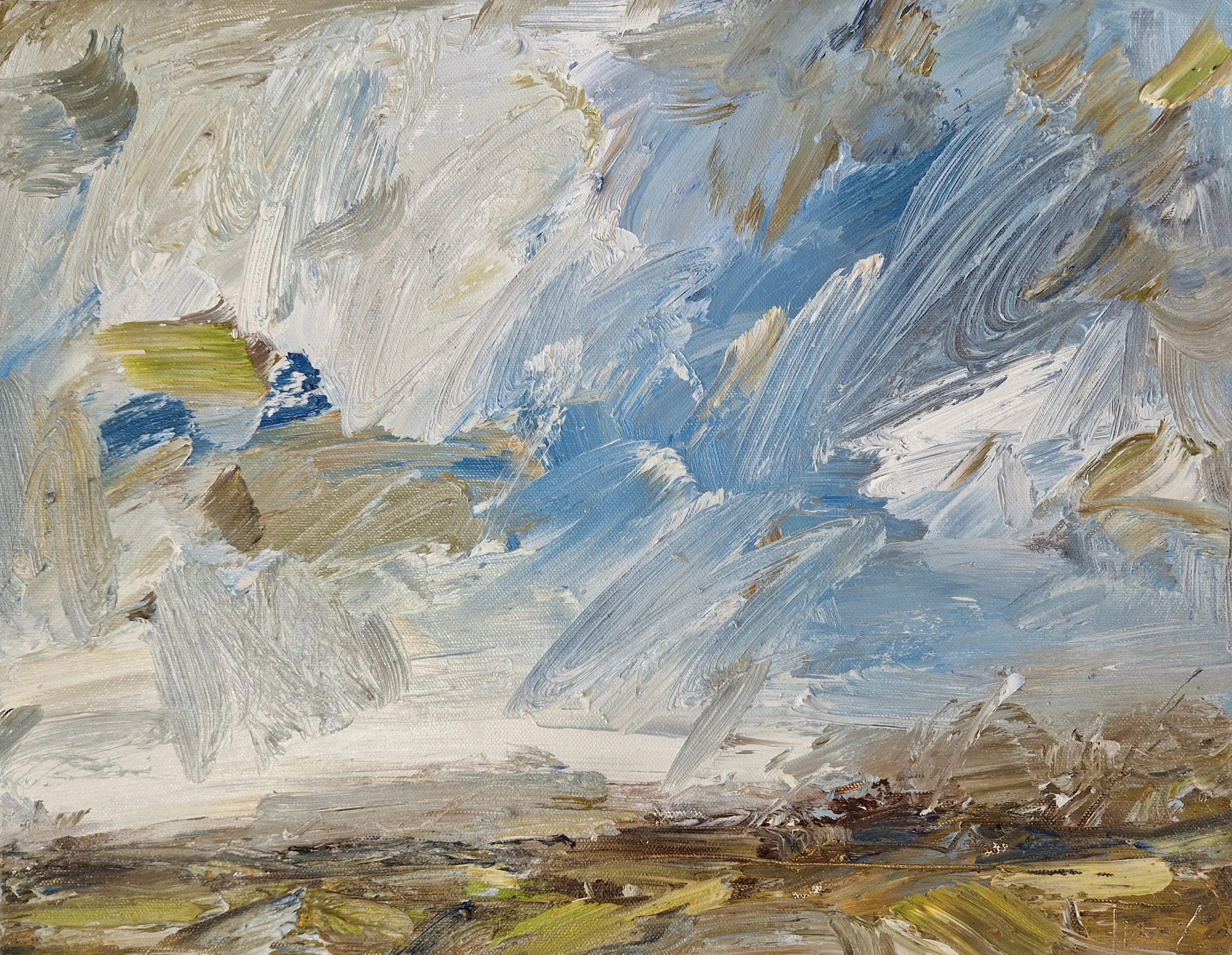 Distant Fields 35 x 45cm oil on canvas.jpg