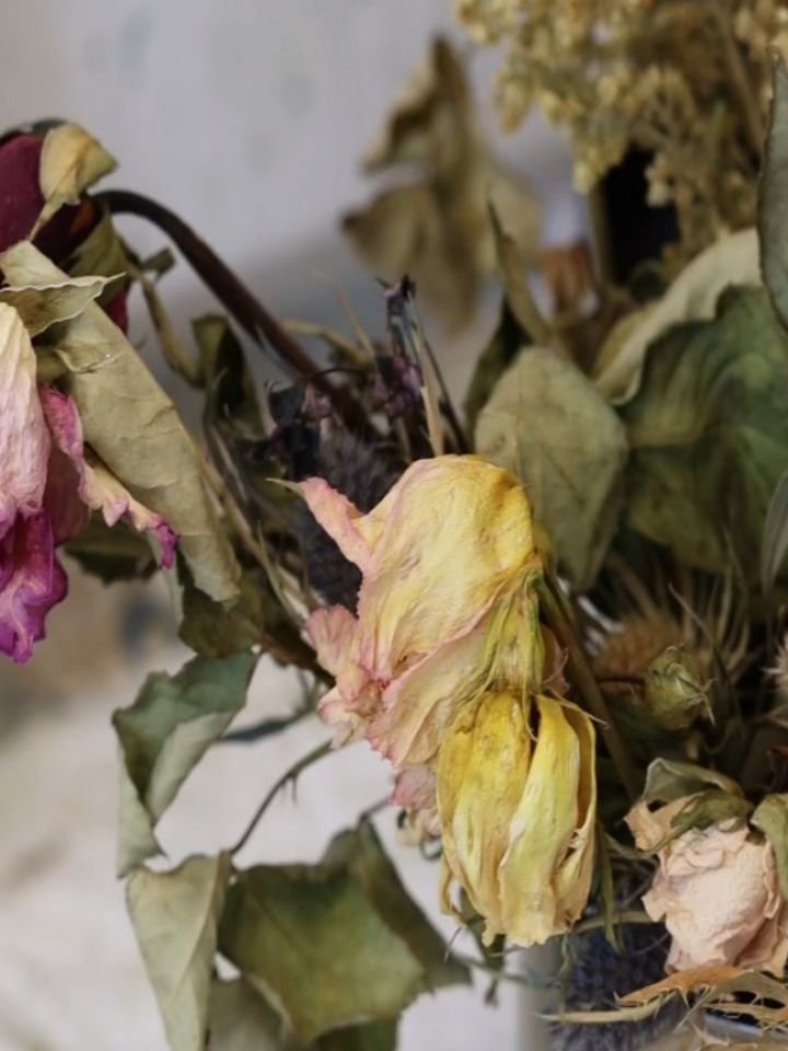 'The Wilds of June'
oil on deep edge canvas 35 x 45cm
framed 39 x 49cm

I painted this piece to capture the untamed beauty of early summer when flowers seem to bloom with effortless abundance. Using thick, expressive palette knife strokes, I built up