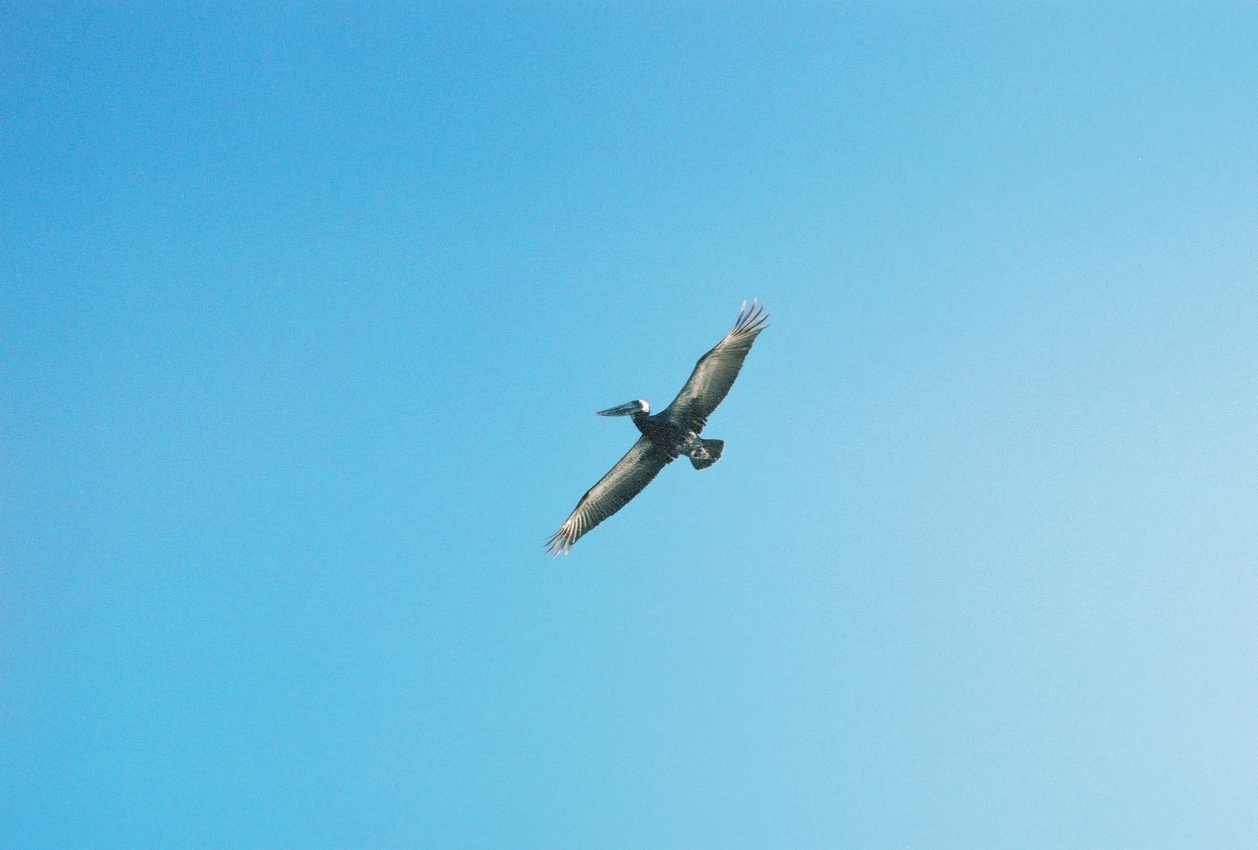 2347488_2347488-R1-072-34A.jpg