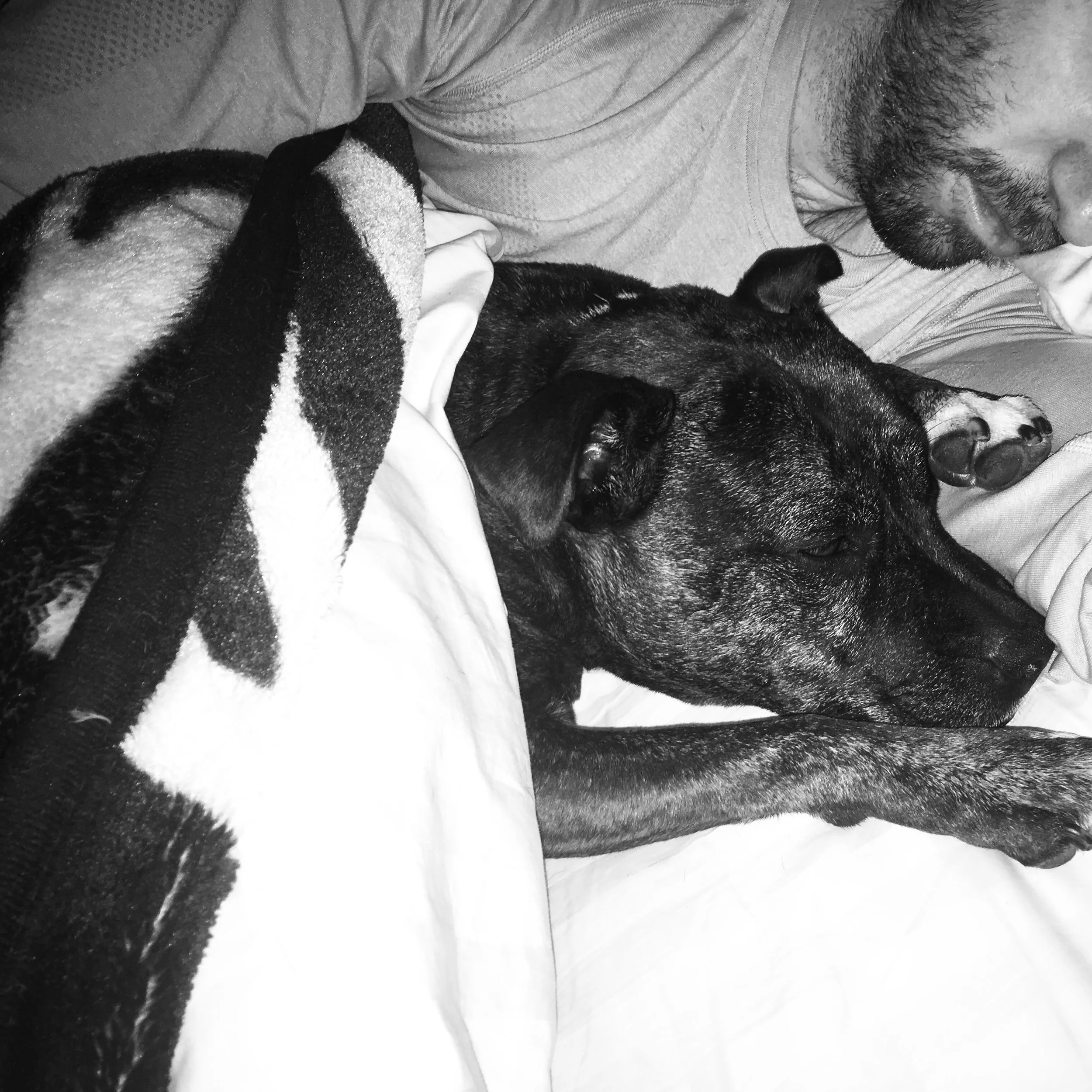 &nbsp; &nbsp; &nbsp; &nbsp; &nbsp; &nbsp; &nbsp; &nbsp;And we fell totally in love with her :D