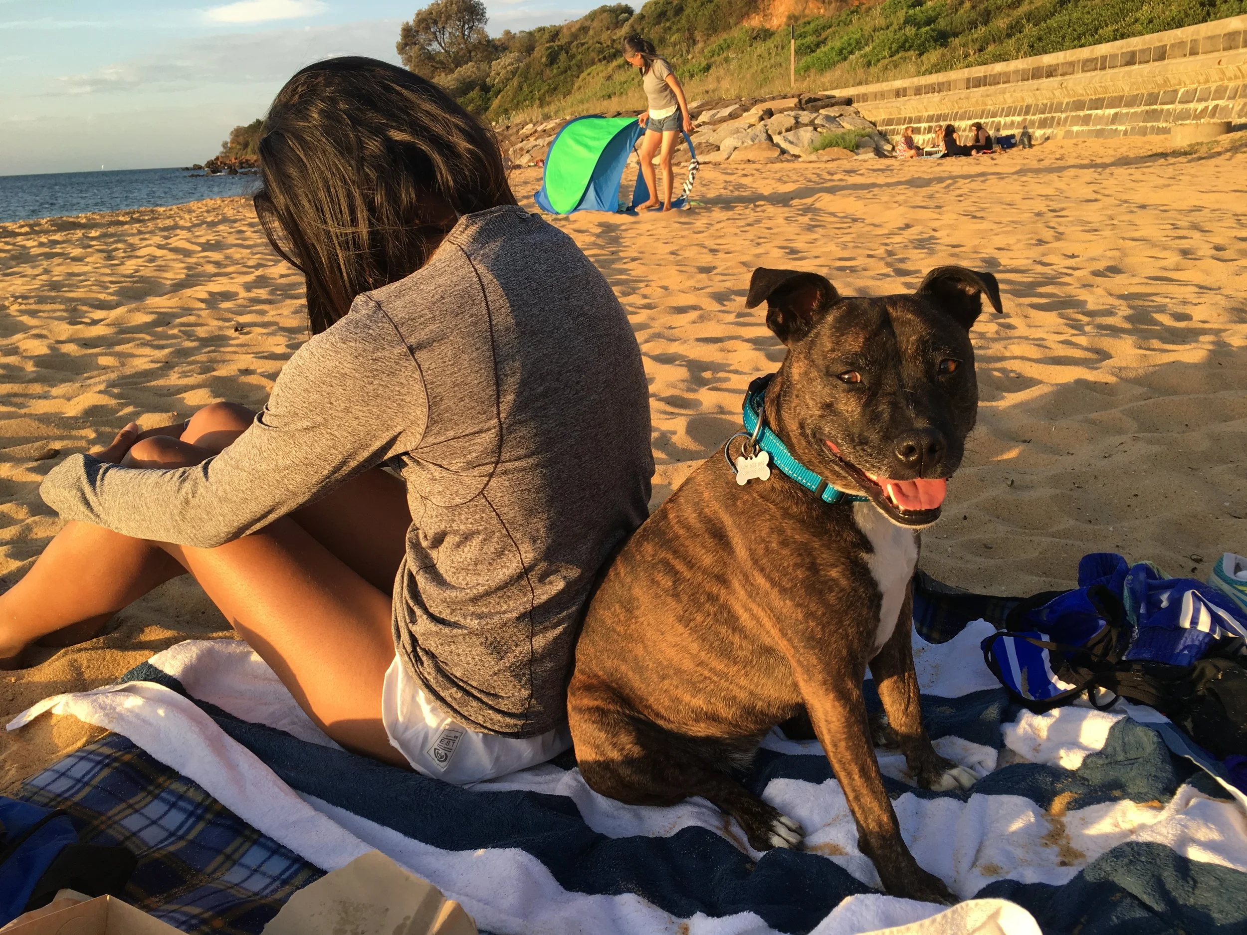 &nbsp; &nbsp; &nbsp; &nbsp; &nbsp; &nbsp; &nbsp; &nbsp; &nbsp; &nbsp; &nbsp; &nbsp; &nbsp; &nbsp;by the name of Mintie