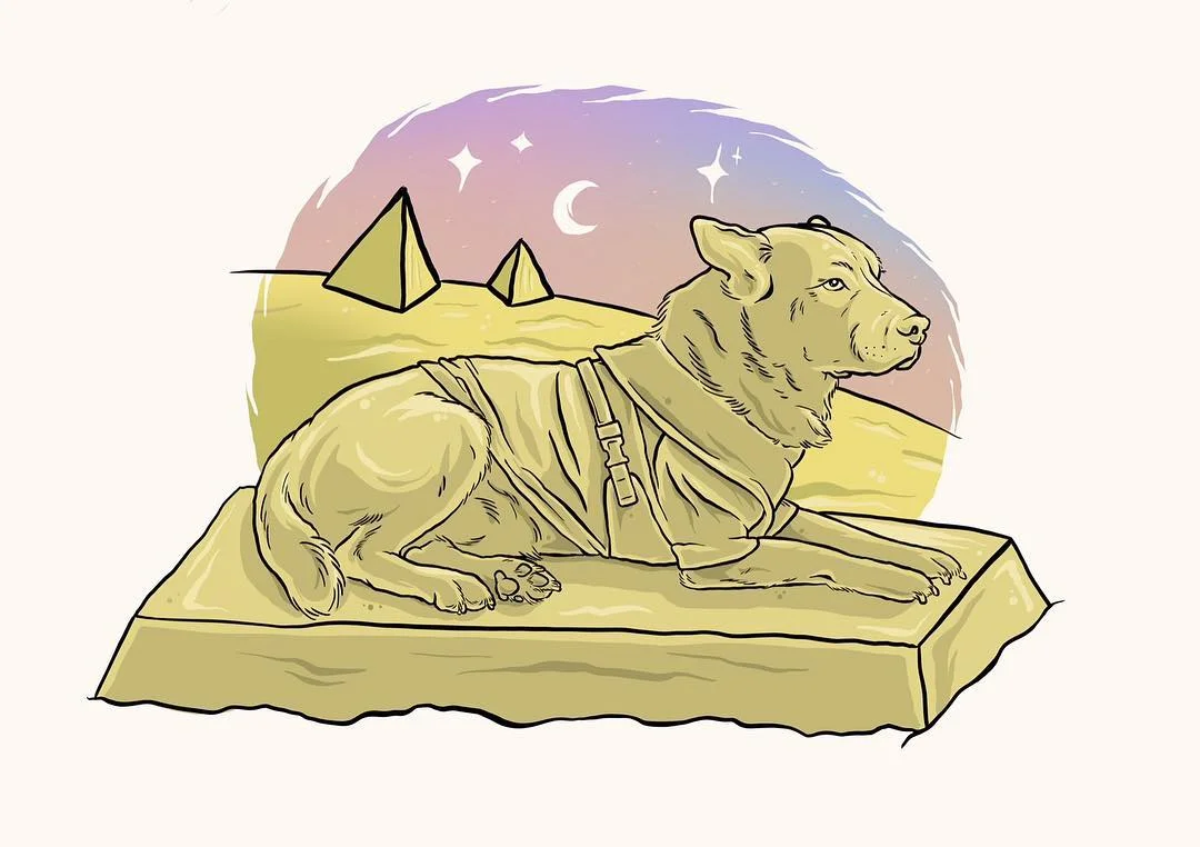 STAFFY DINGO