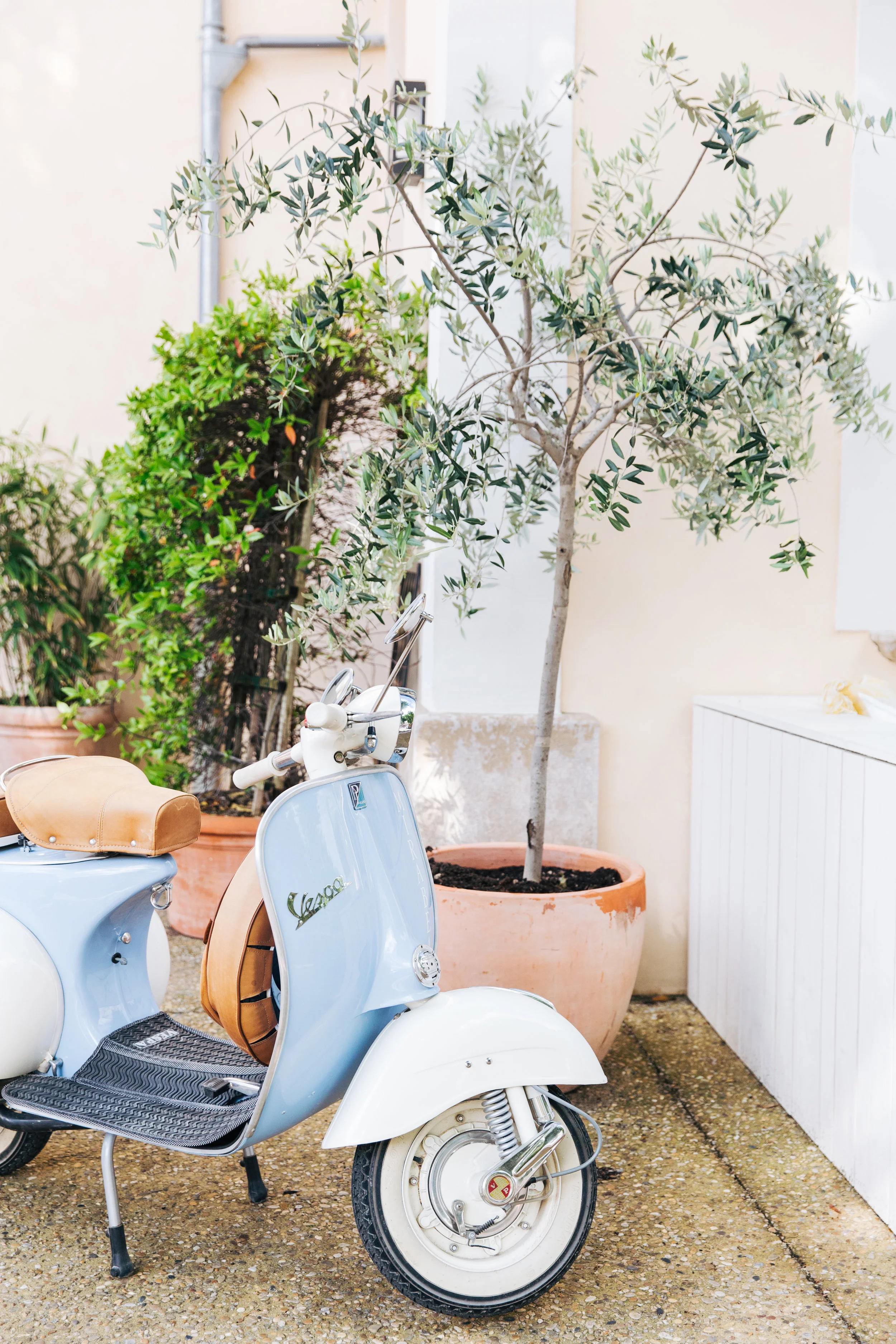 Provence-3103.jpg