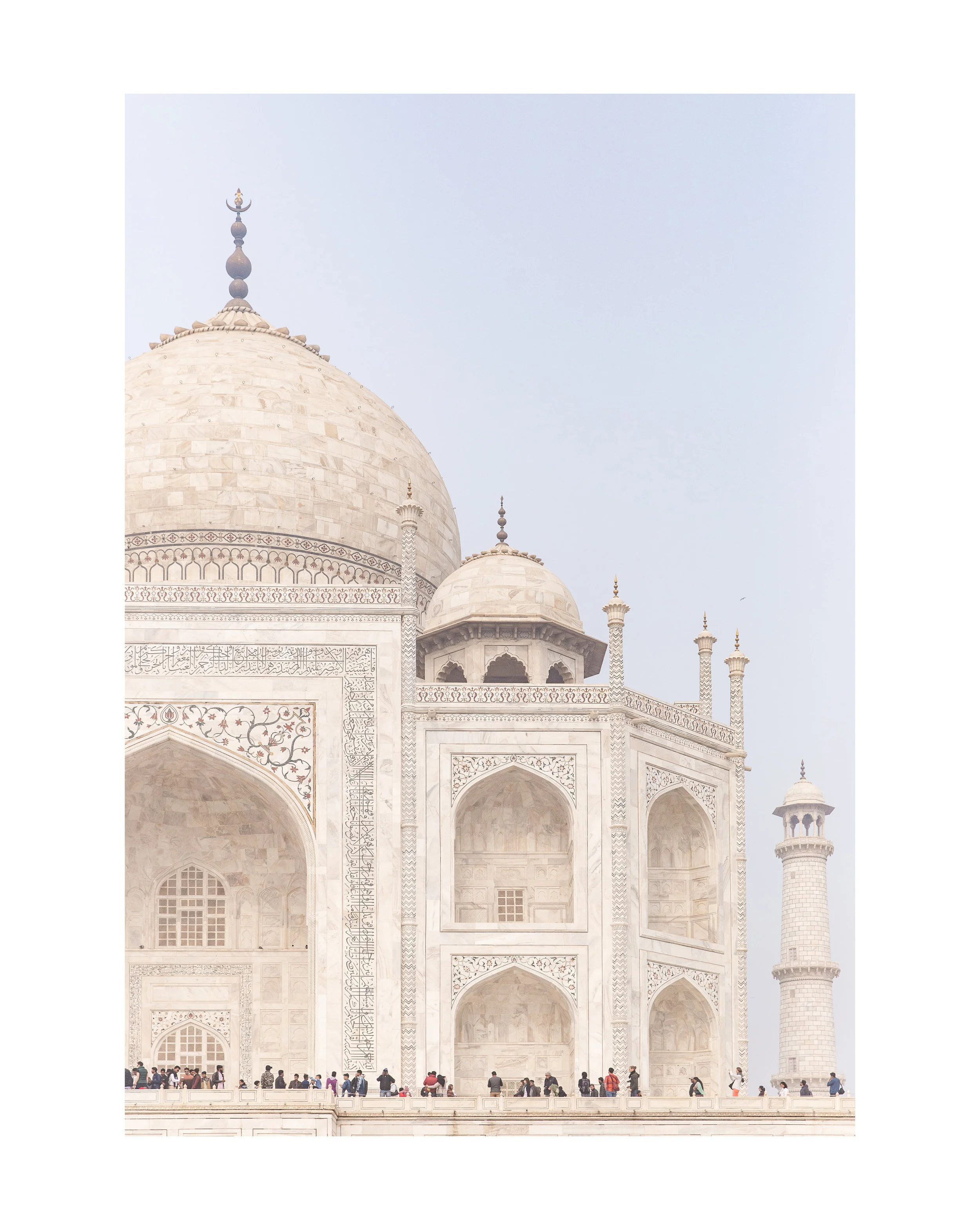 TAJ 2 STANDARD.jpg