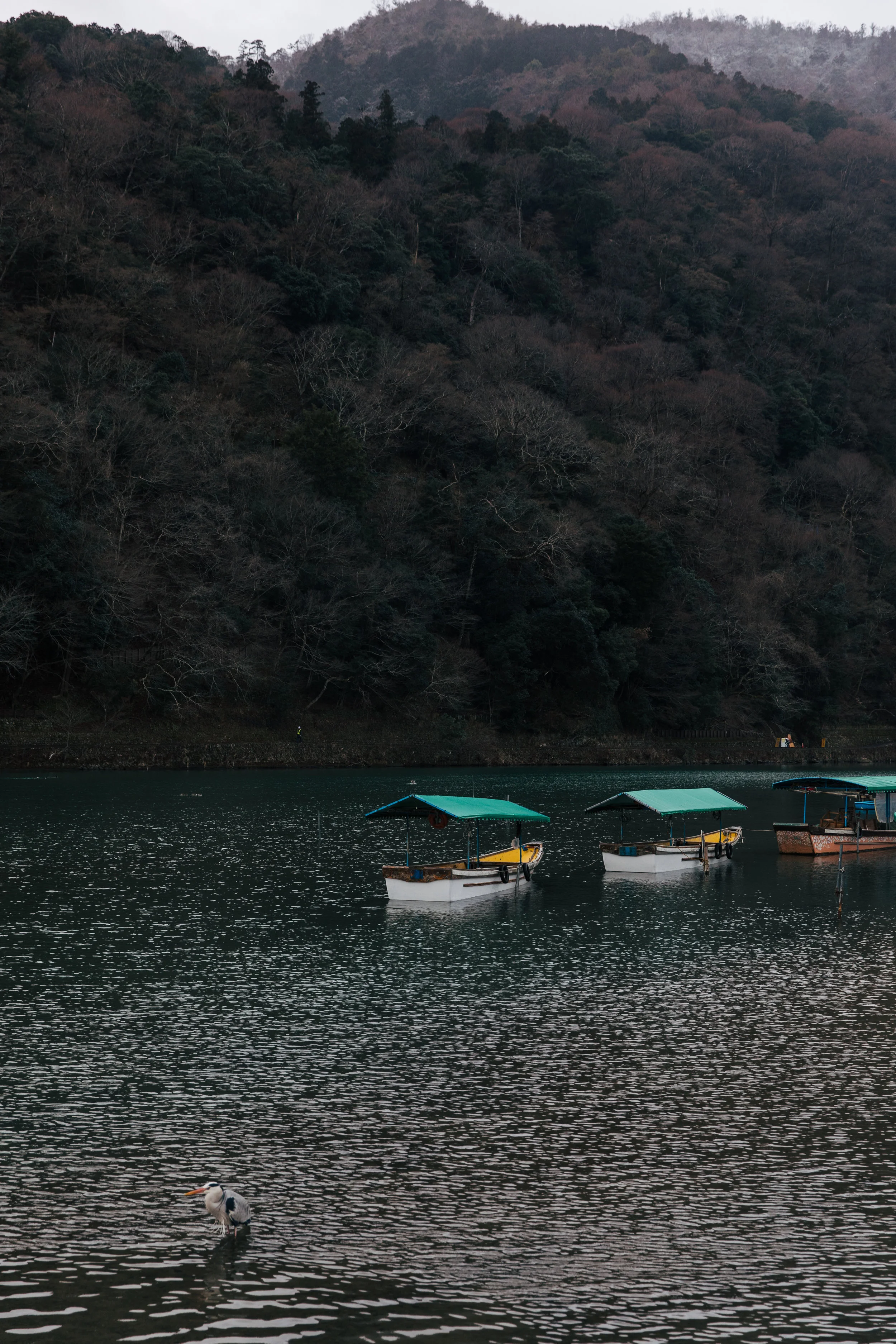 Arashiyama
