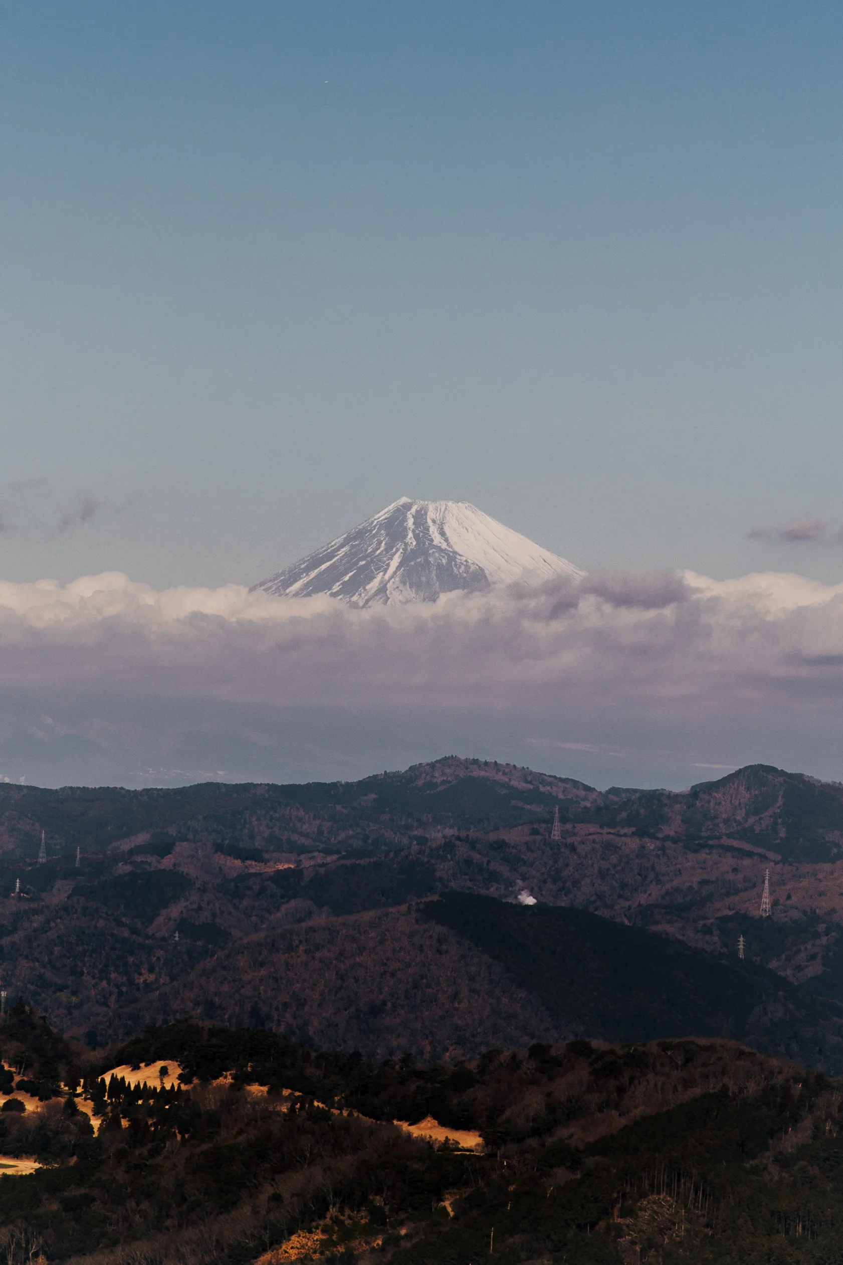 JP edit-7755-2.jpg