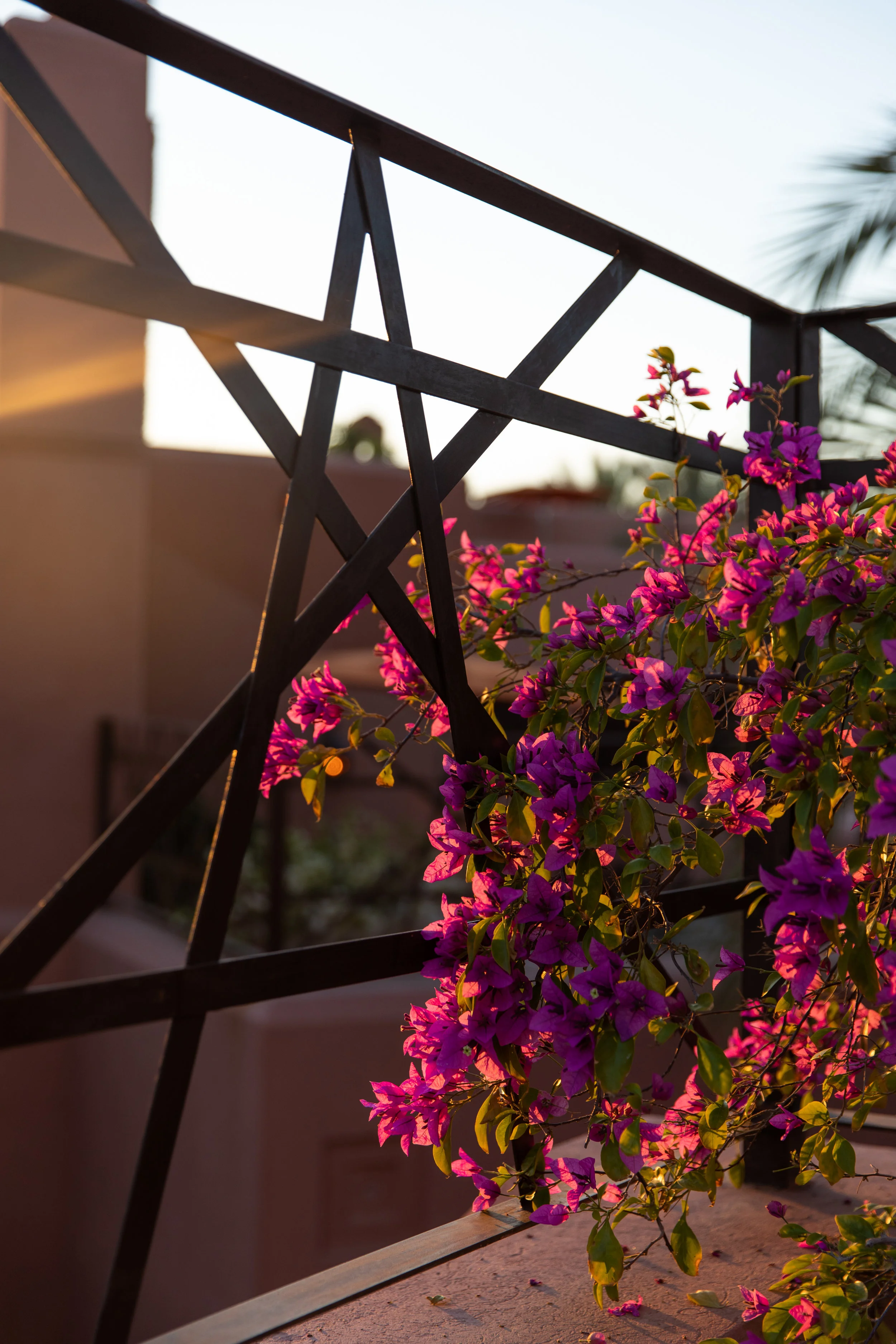 Marrakech edit-3543.jpg