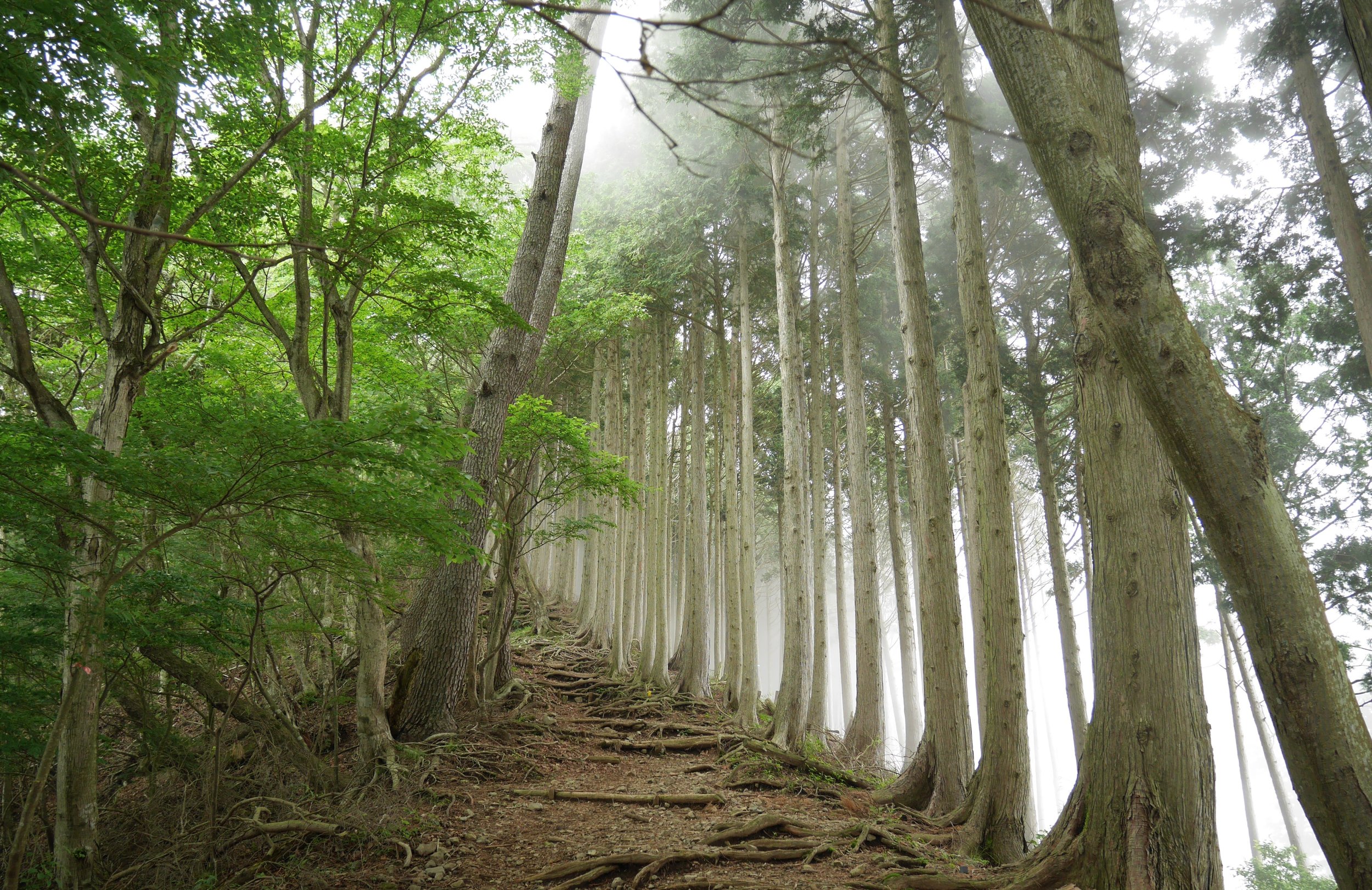 Stepping Into the Unknown