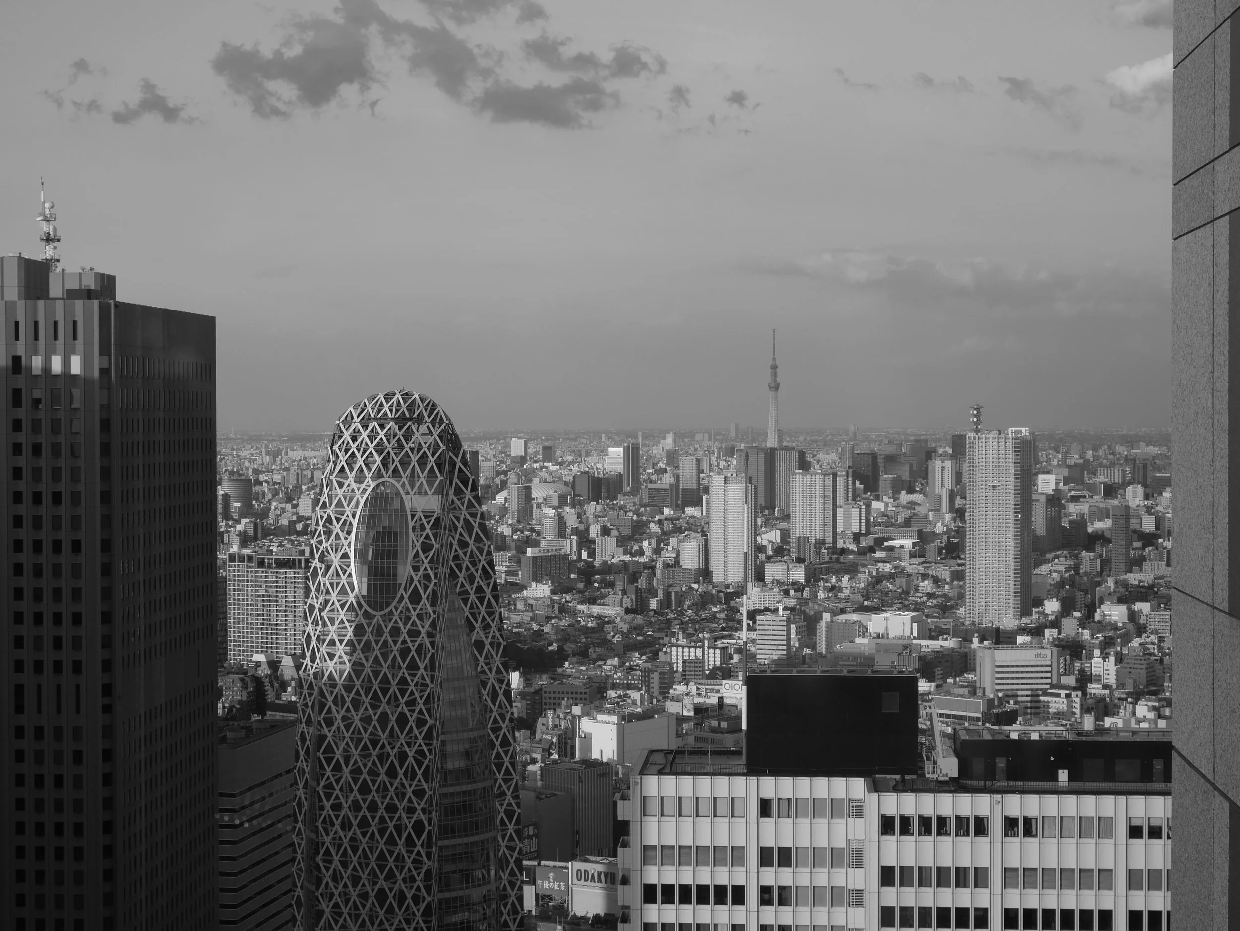 Content Roundup: Spring in Shinjuku