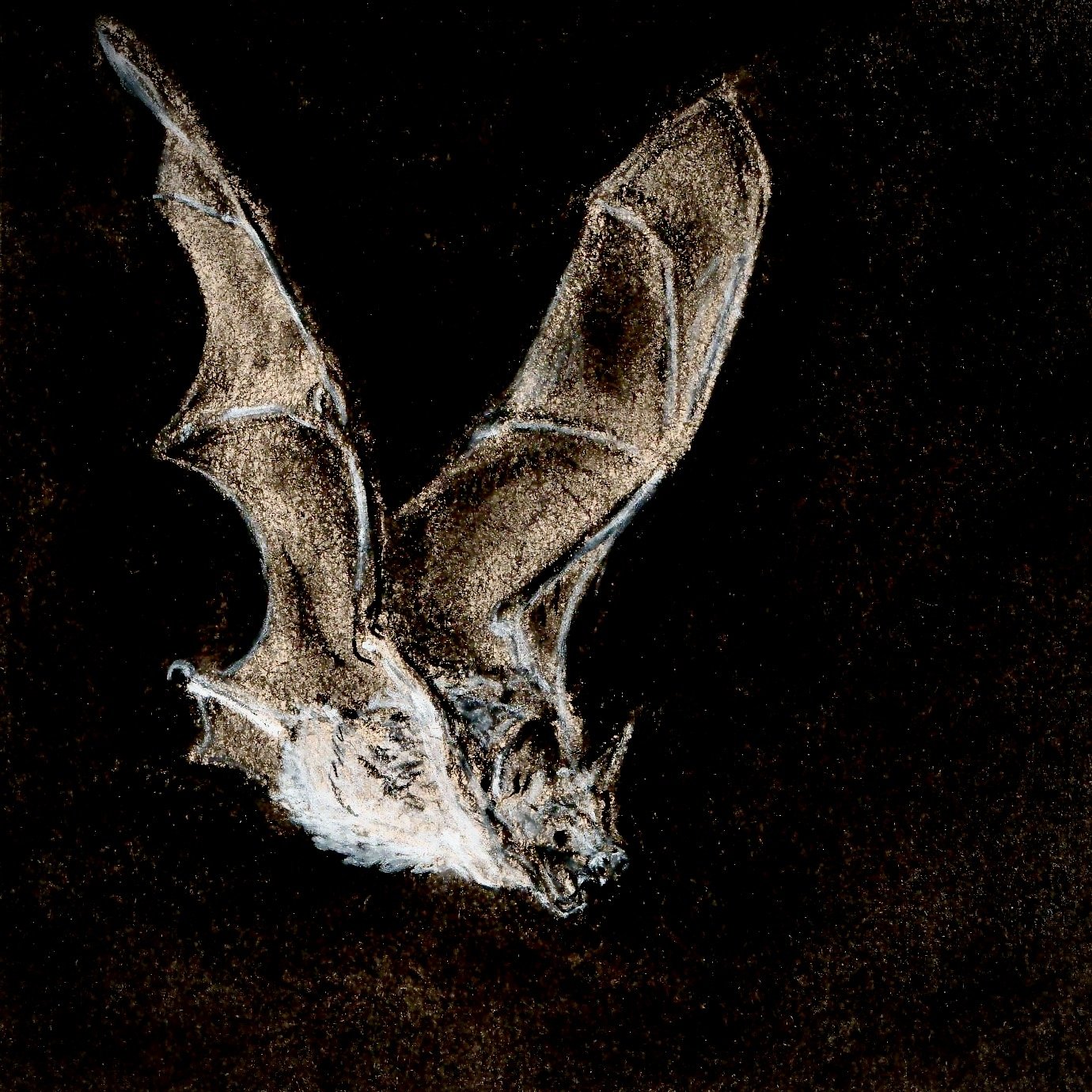 2009 - Lucy Burton