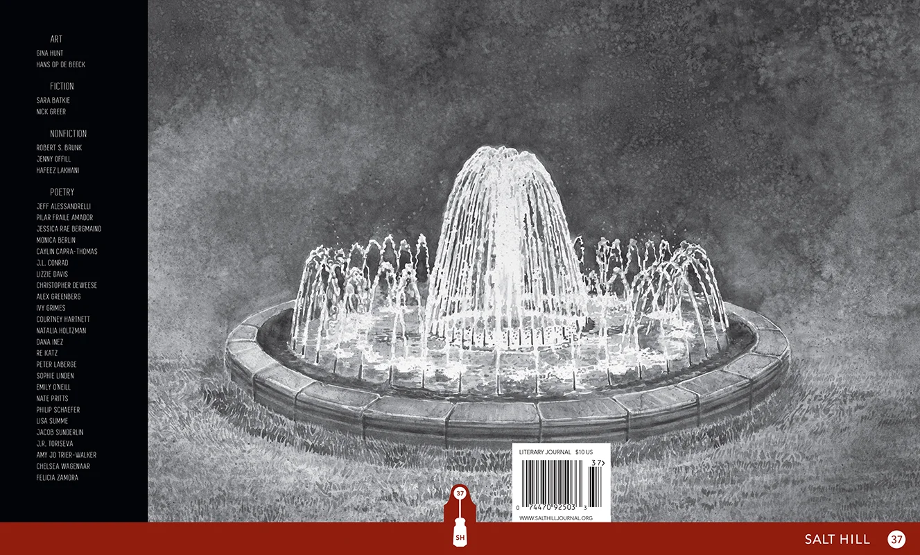 Salt Hill 37, Cover Design