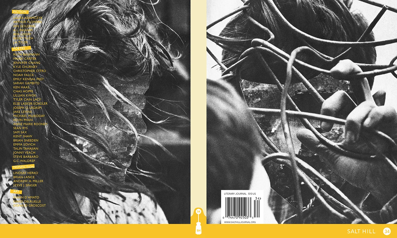 Salt Hill 34, Cover Design