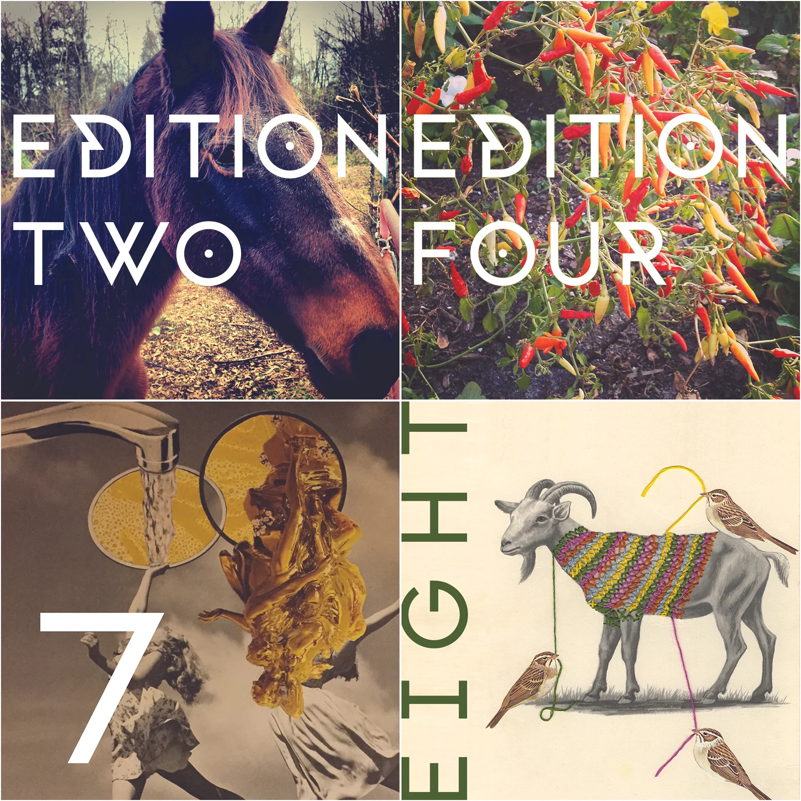 Sample of covers for issue navigation