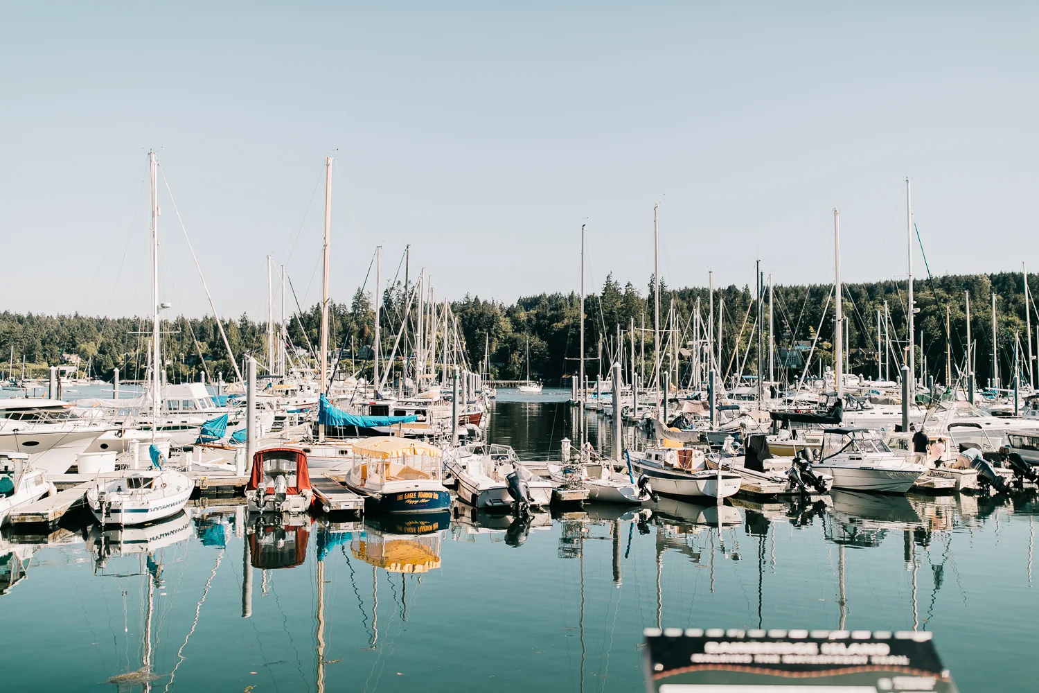 SeattleDay_3-38.jpg