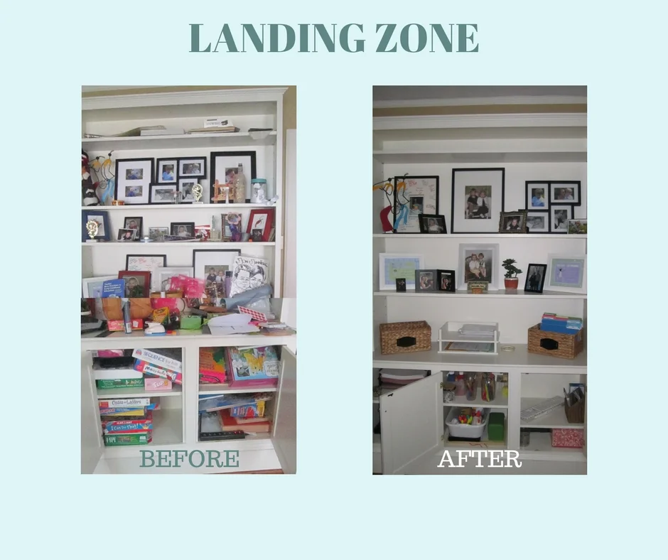 LandingZone.jpg