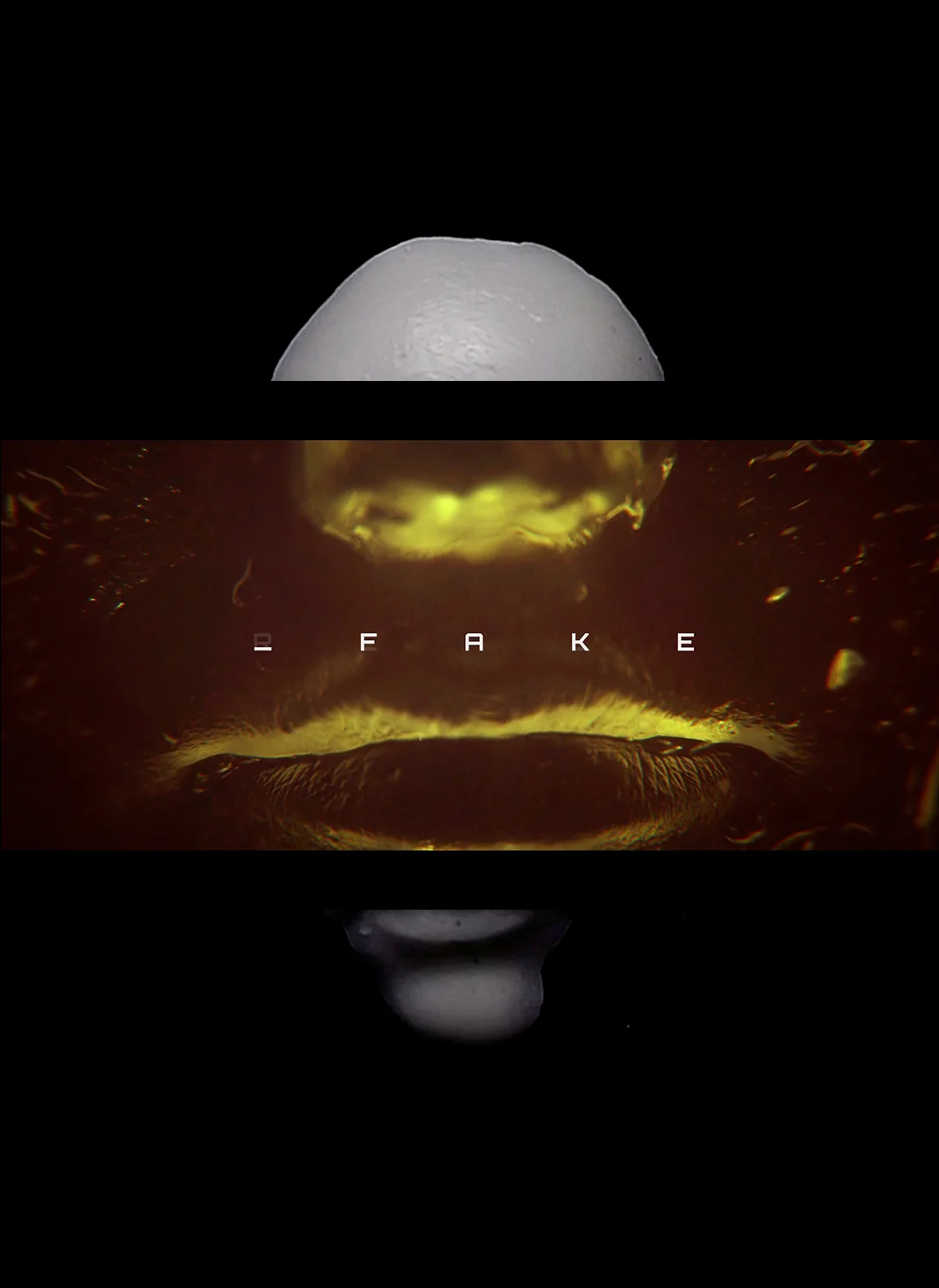 fakee.jpg