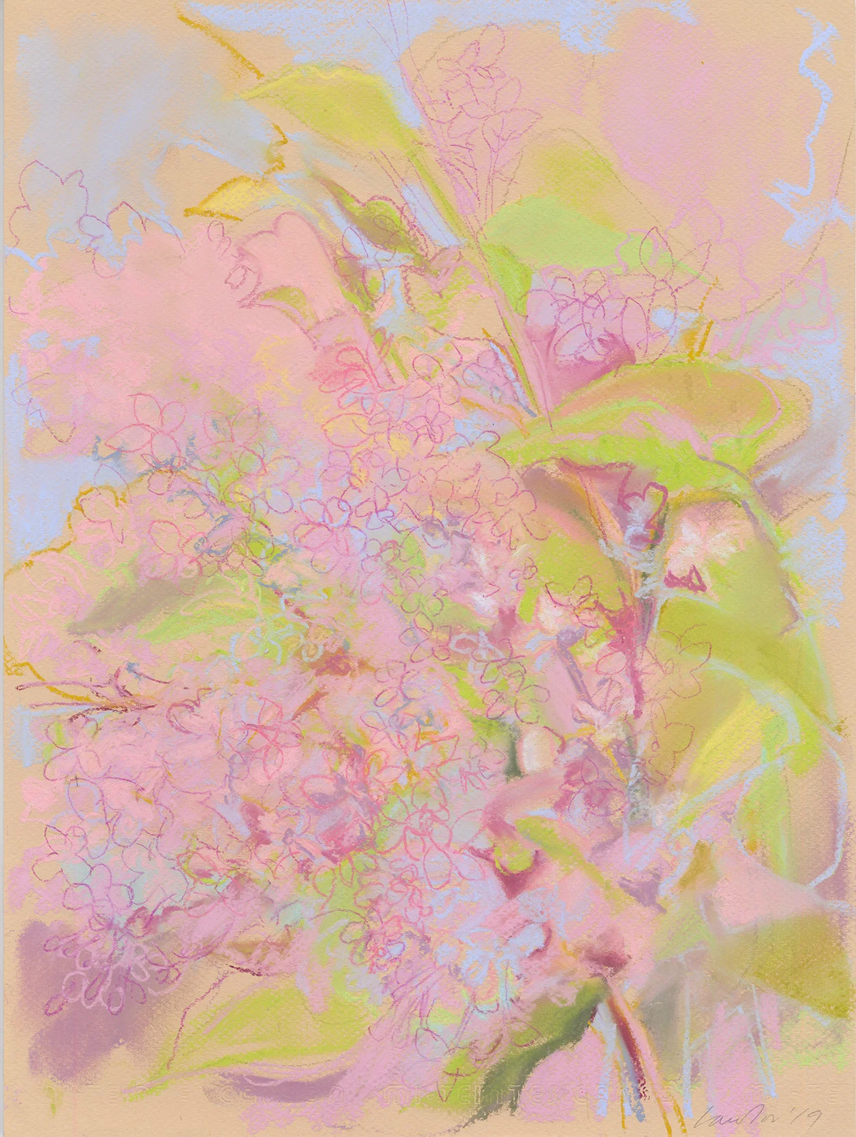 Lilacs Two